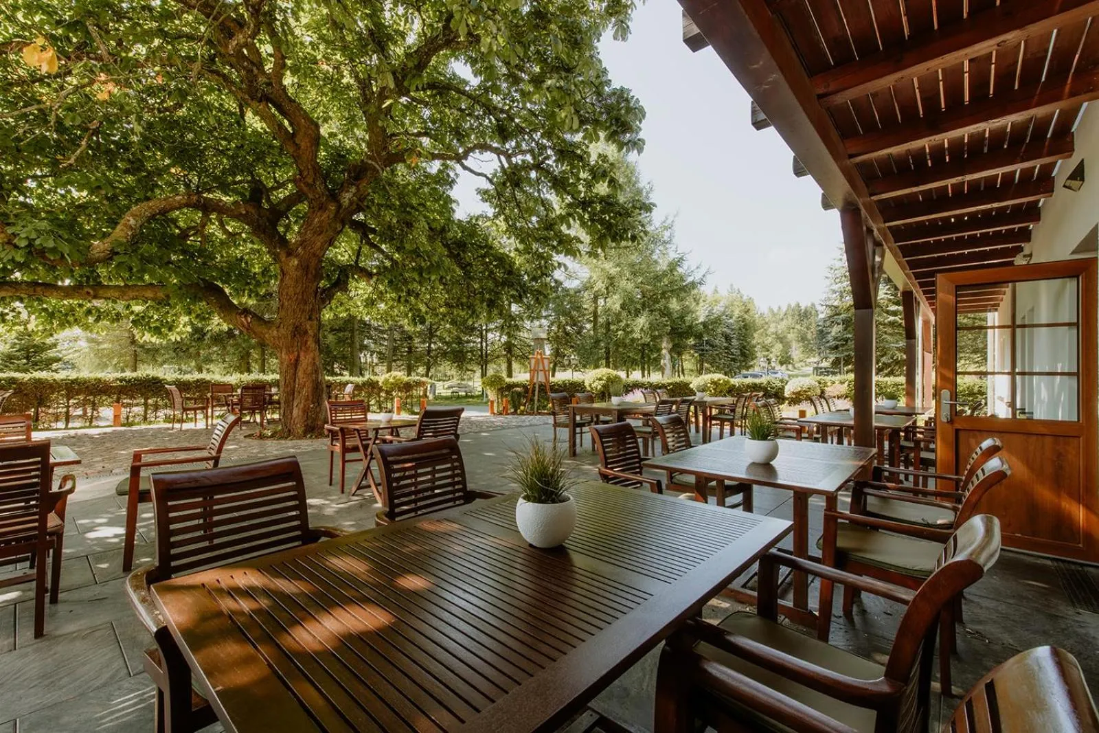 Restaurant/places to eat in Waldhotel Kreuztanne