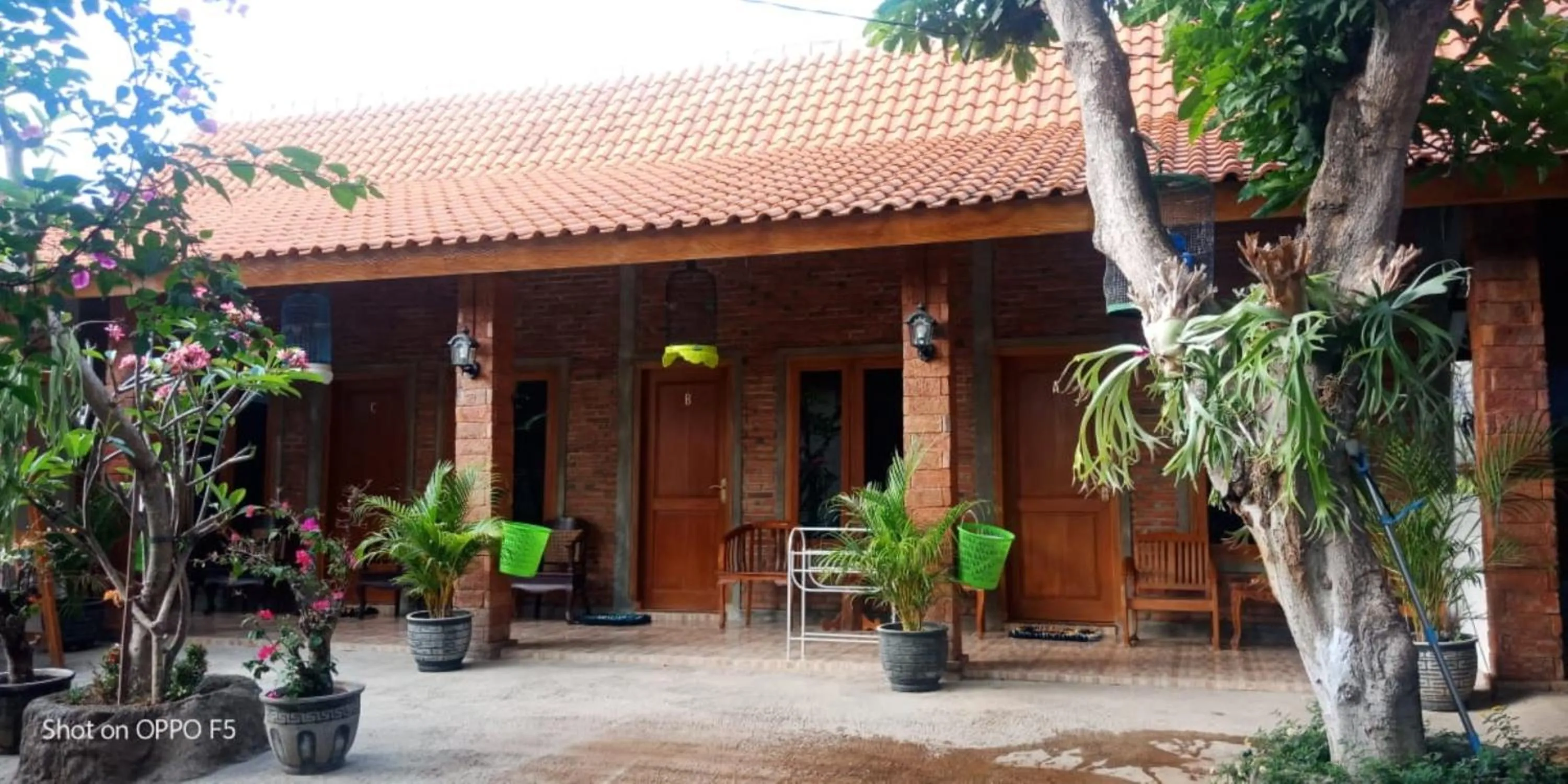 Property building in Nita's Homestay Banyuwangi