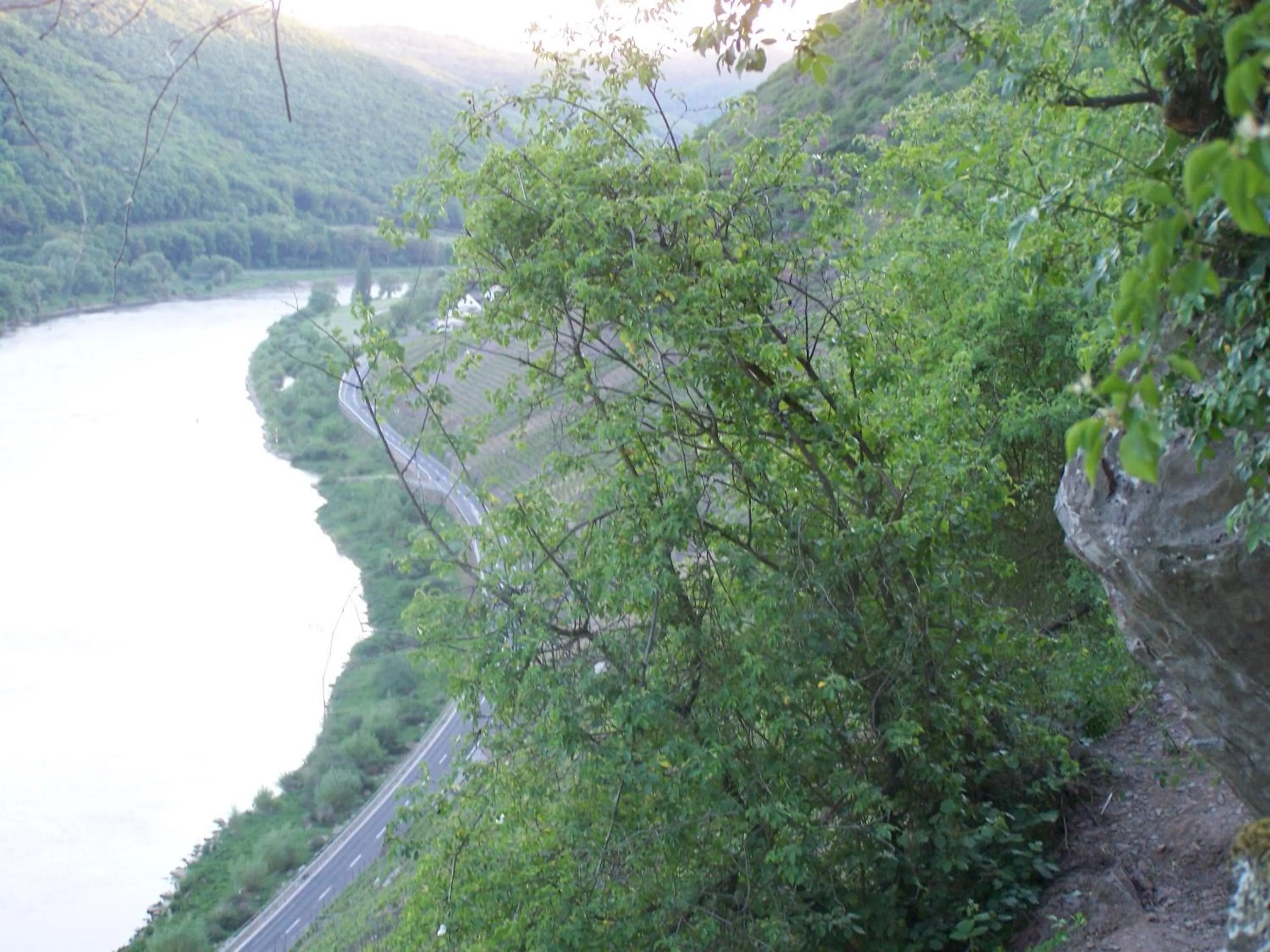 Natural landscape in Hotel-Fritz