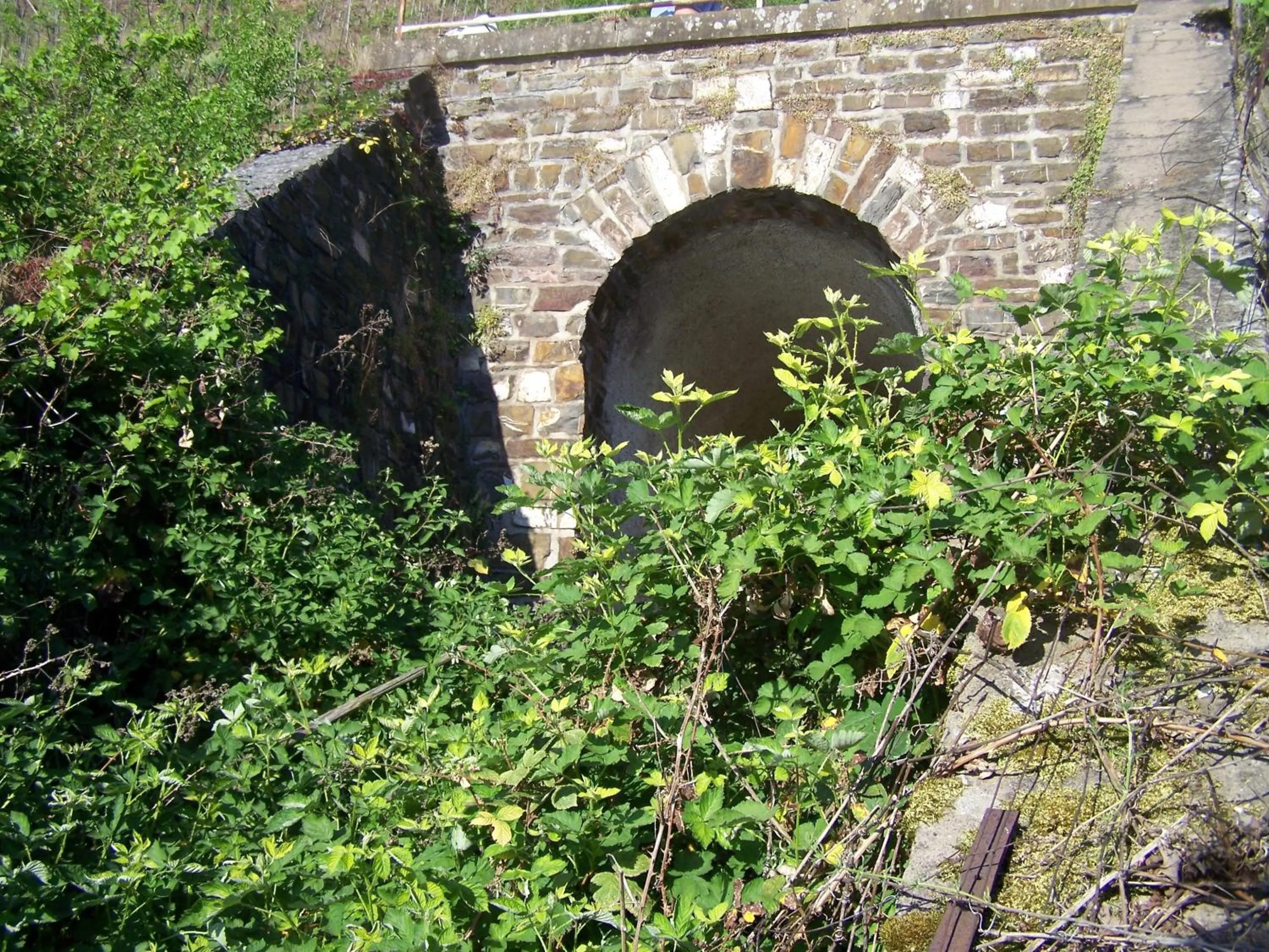 Other in Hotel-Fritz