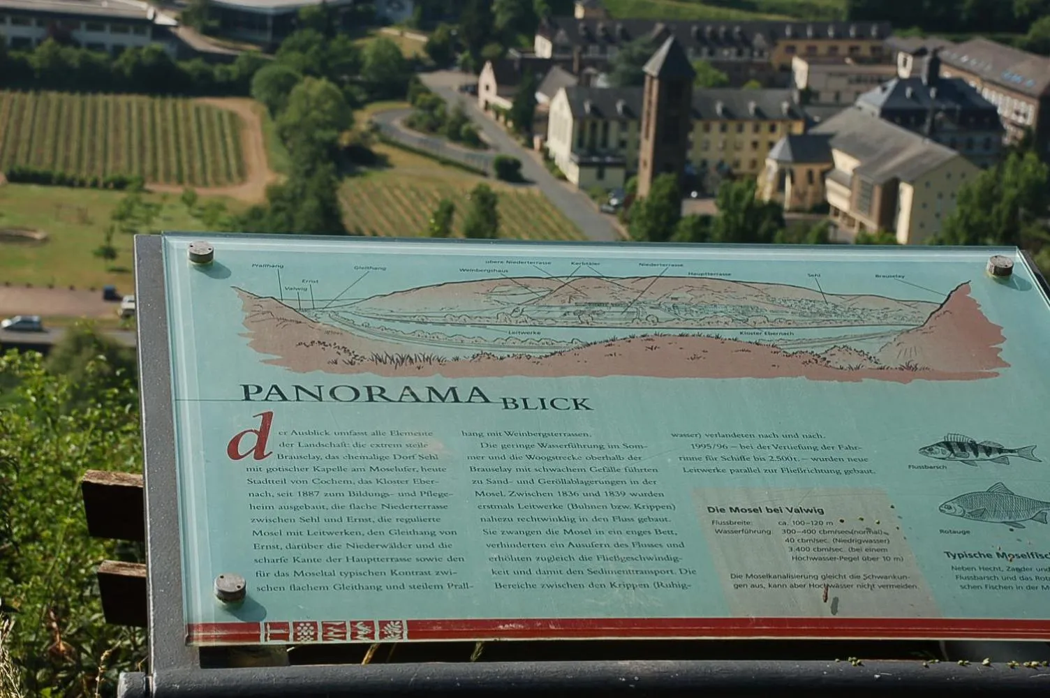 Staff in Hotel-Fritz