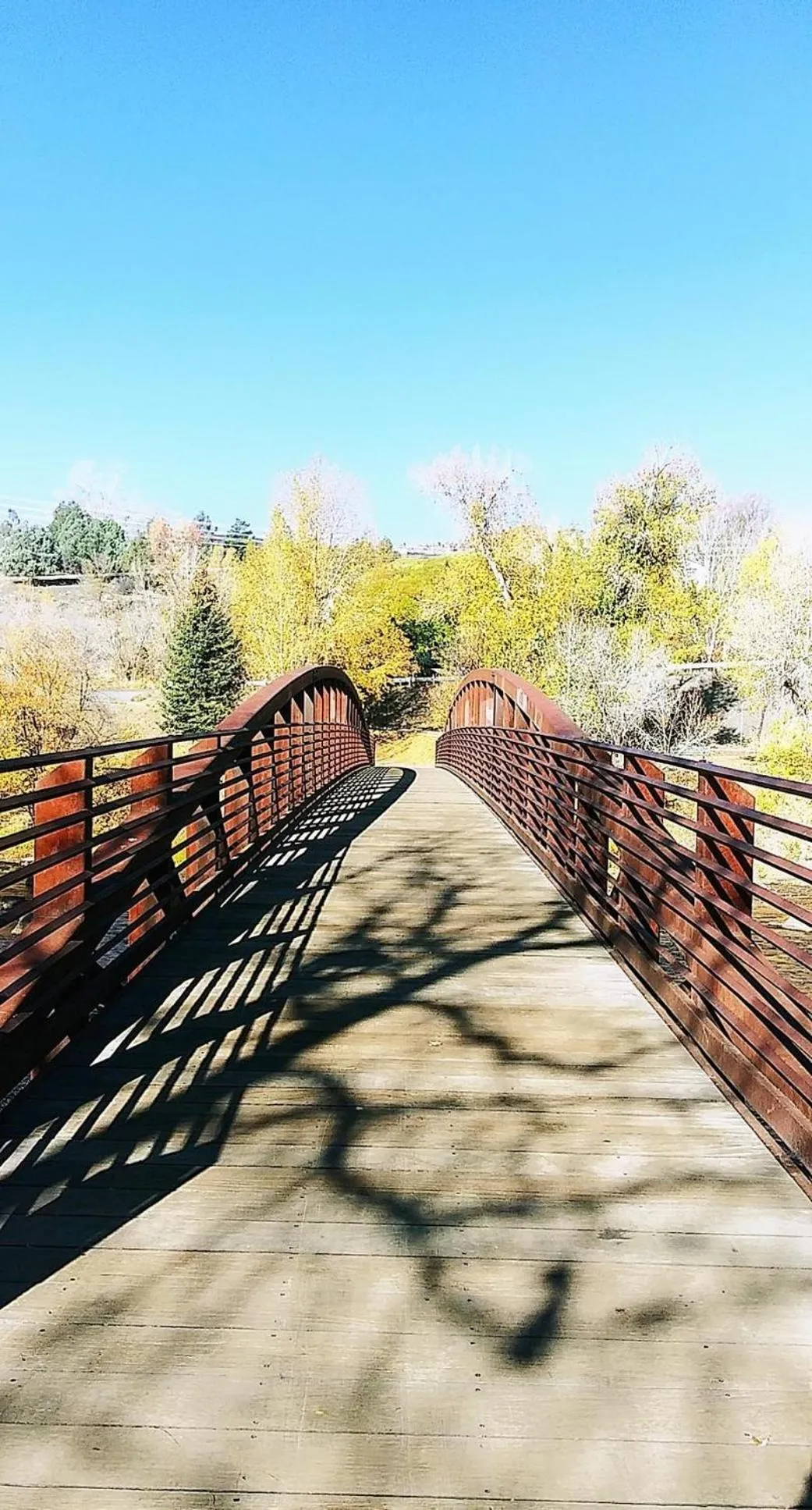 Nearby landmark in Holiday Inn Express Durango Downtown- Animas River