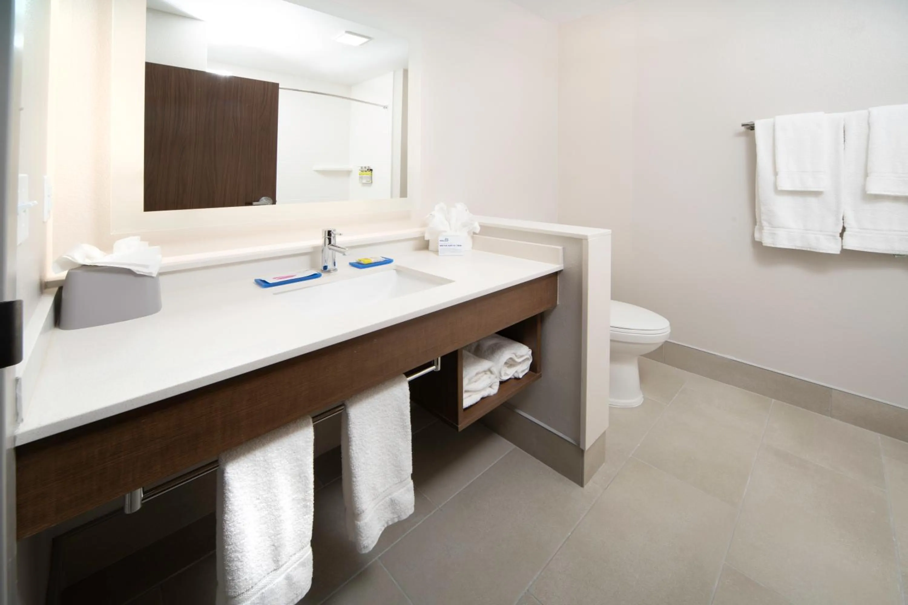 Bathroom in Holiday Inn Express & Suites - Fort Myers Airport by IHG