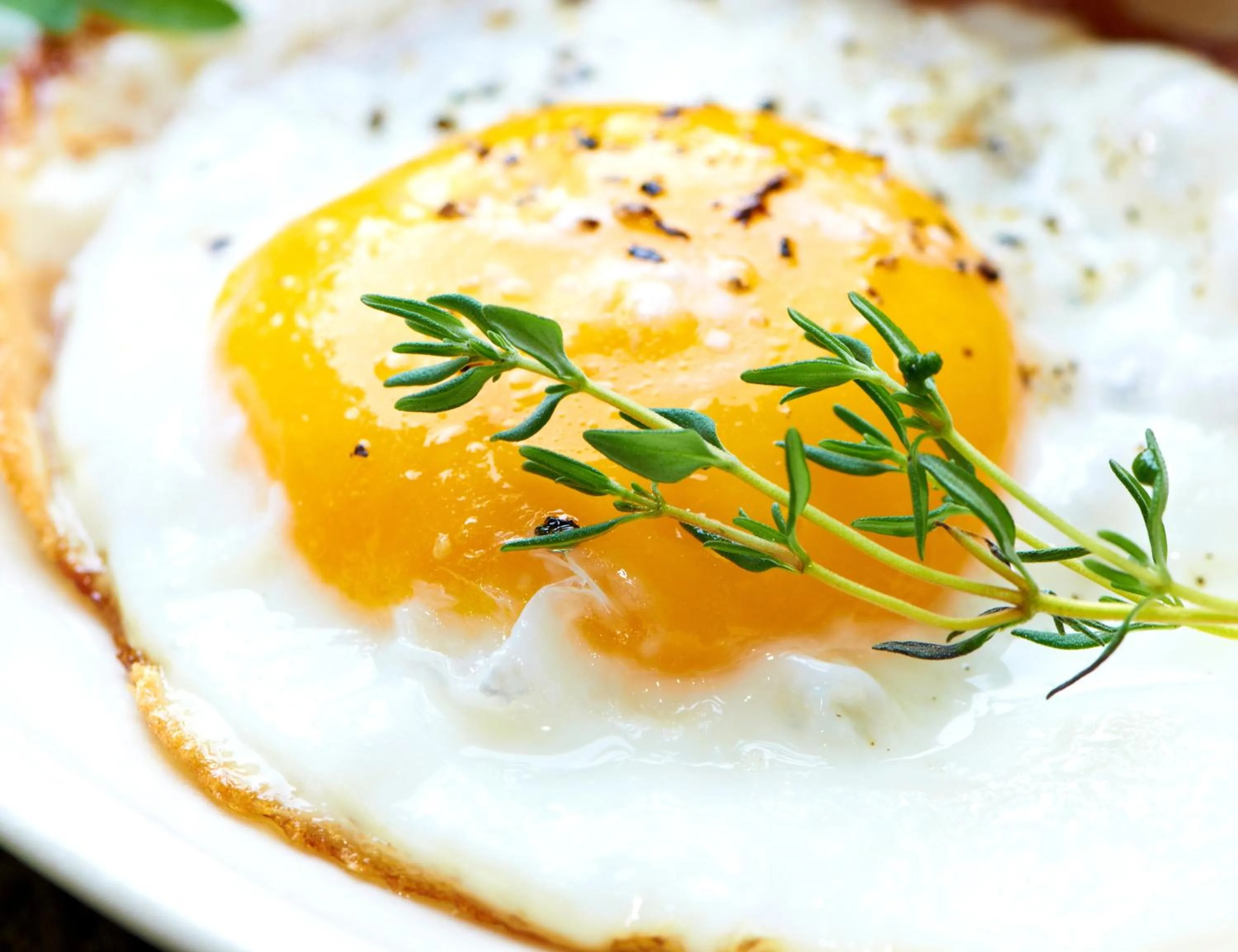Breakfast in Hotel Münkel