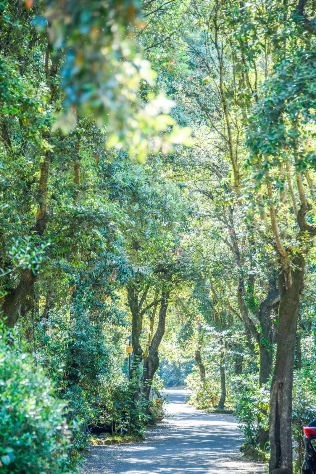 Spring in Hotel Riva degli Etruschi
