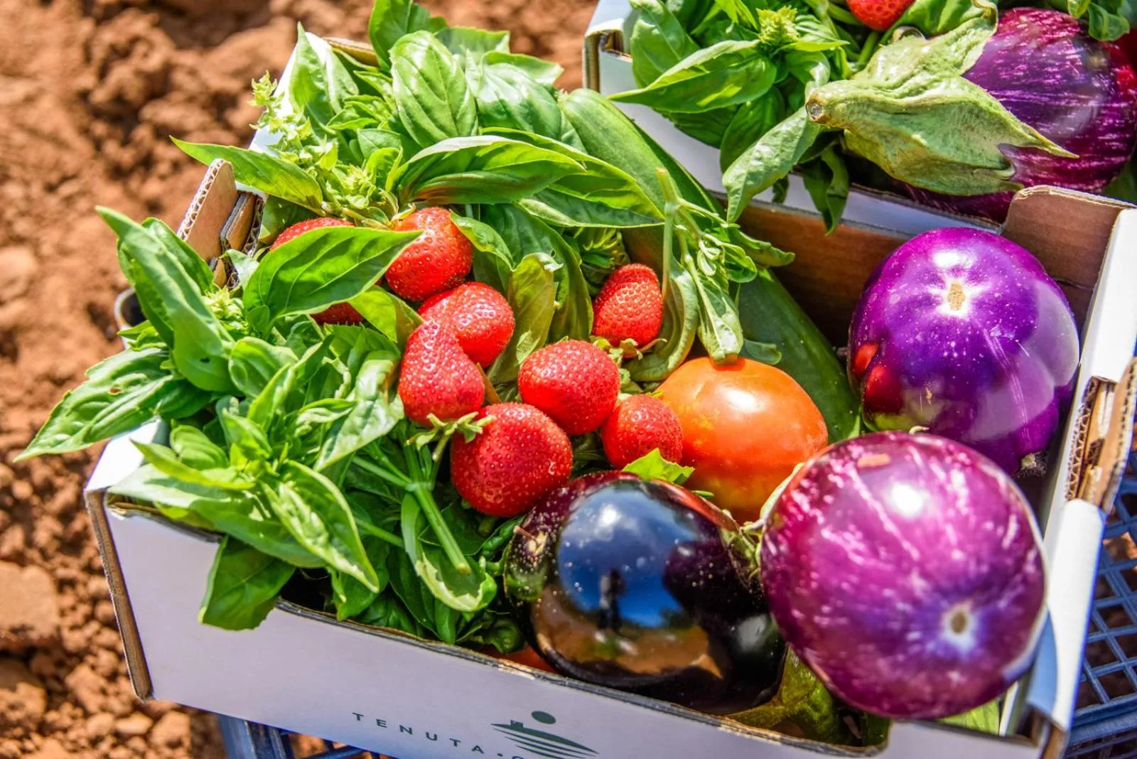 Day in Hotel Riva degli Etruschi