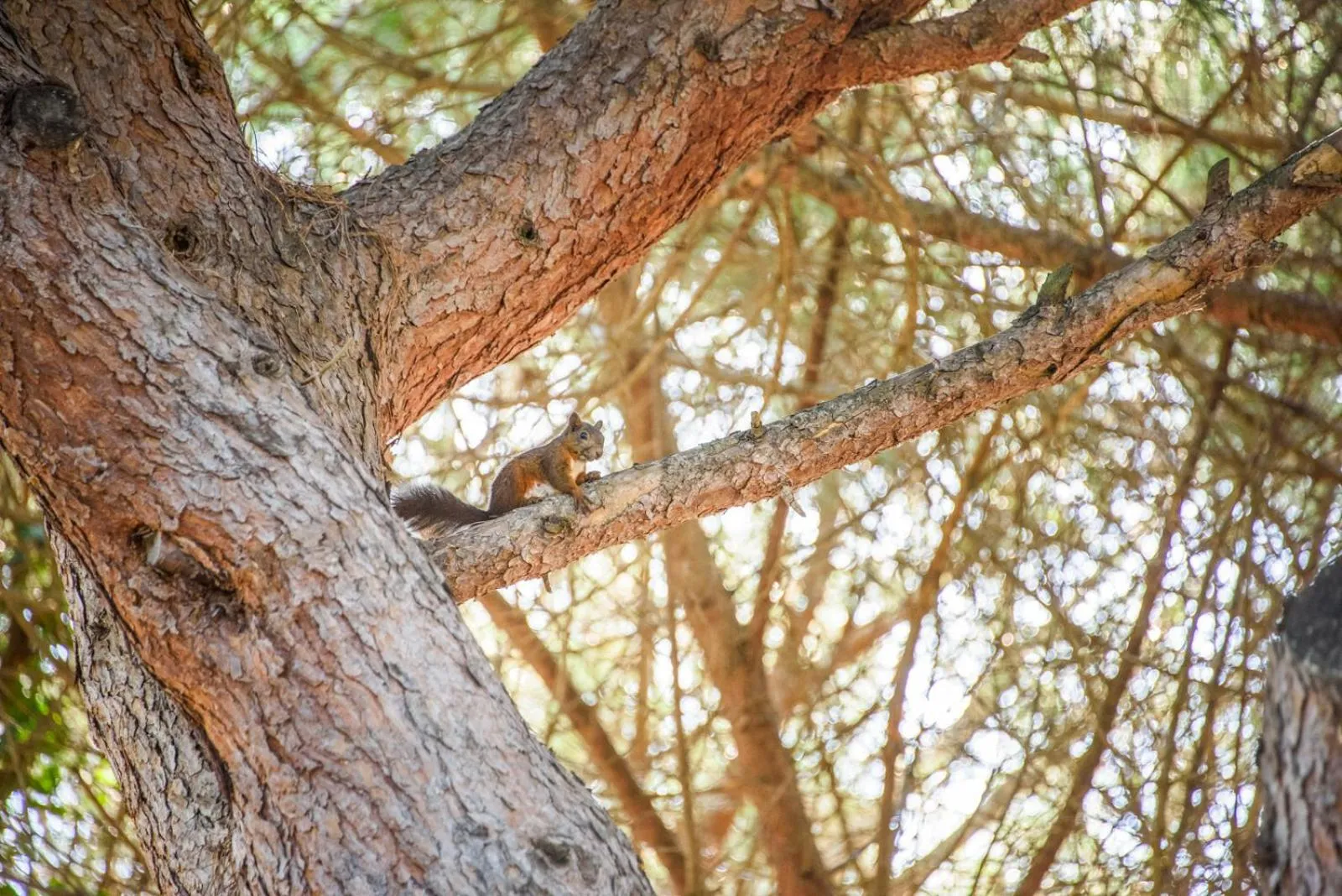 Spring in Hotel Riva degli Etruschi