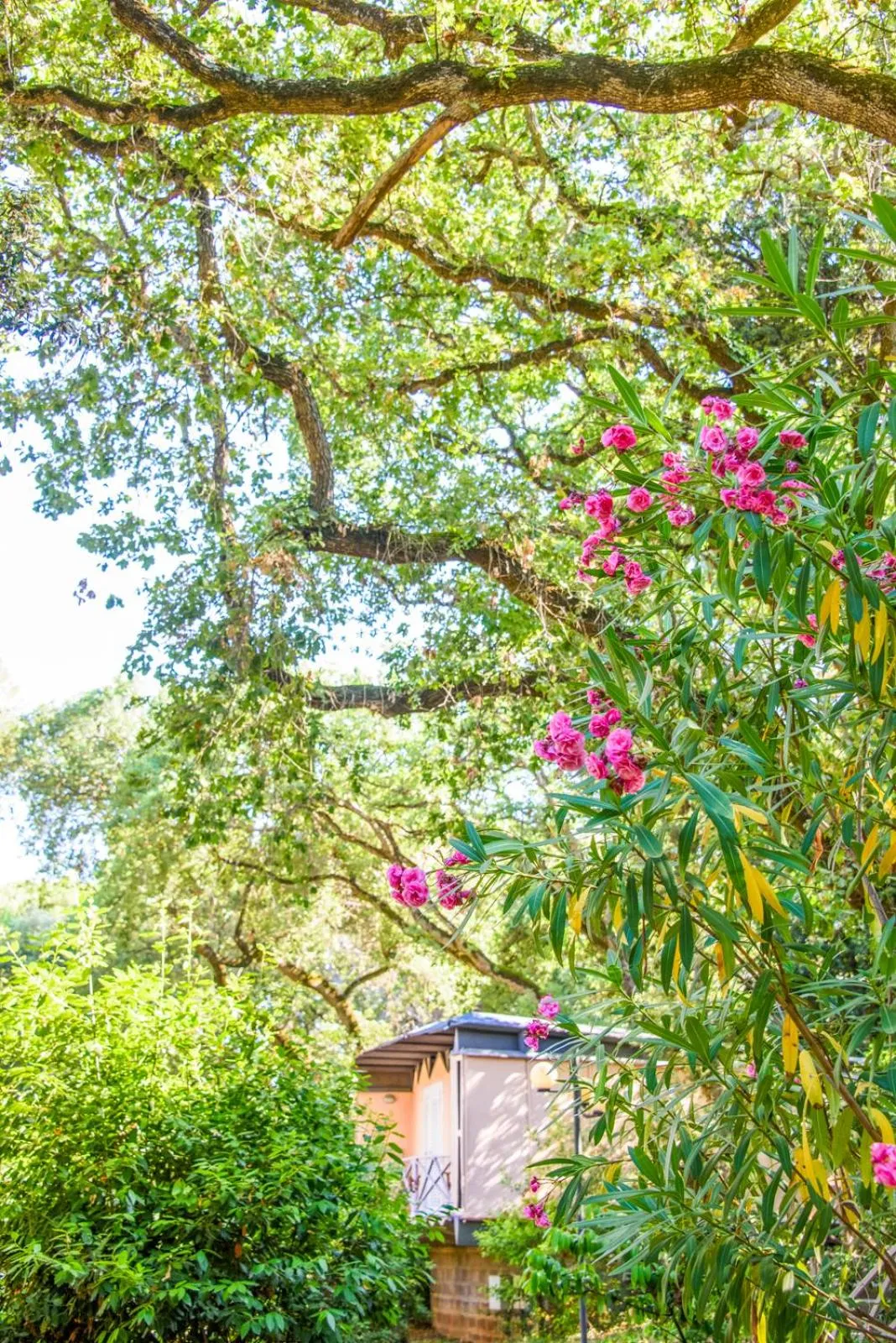 Spring in Hotel Riva degli Etruschi