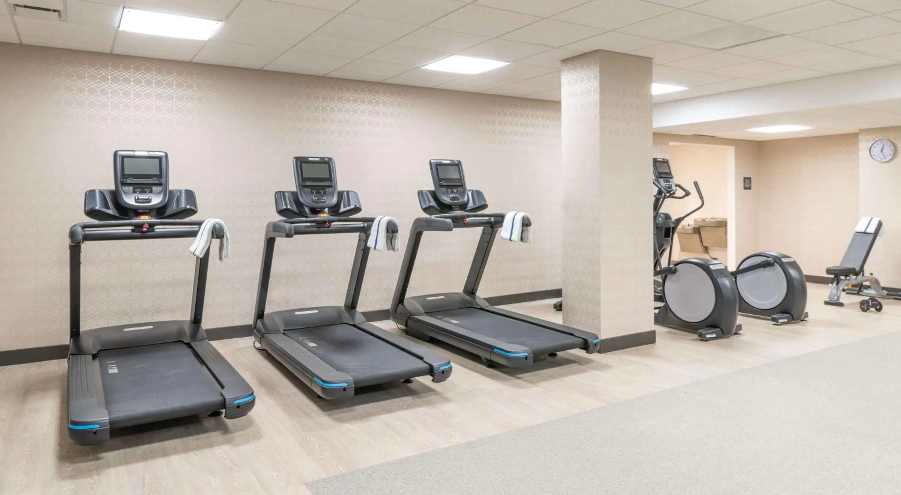 Fitness centre/facilities in Hilton Garden Inn Flint Downtown