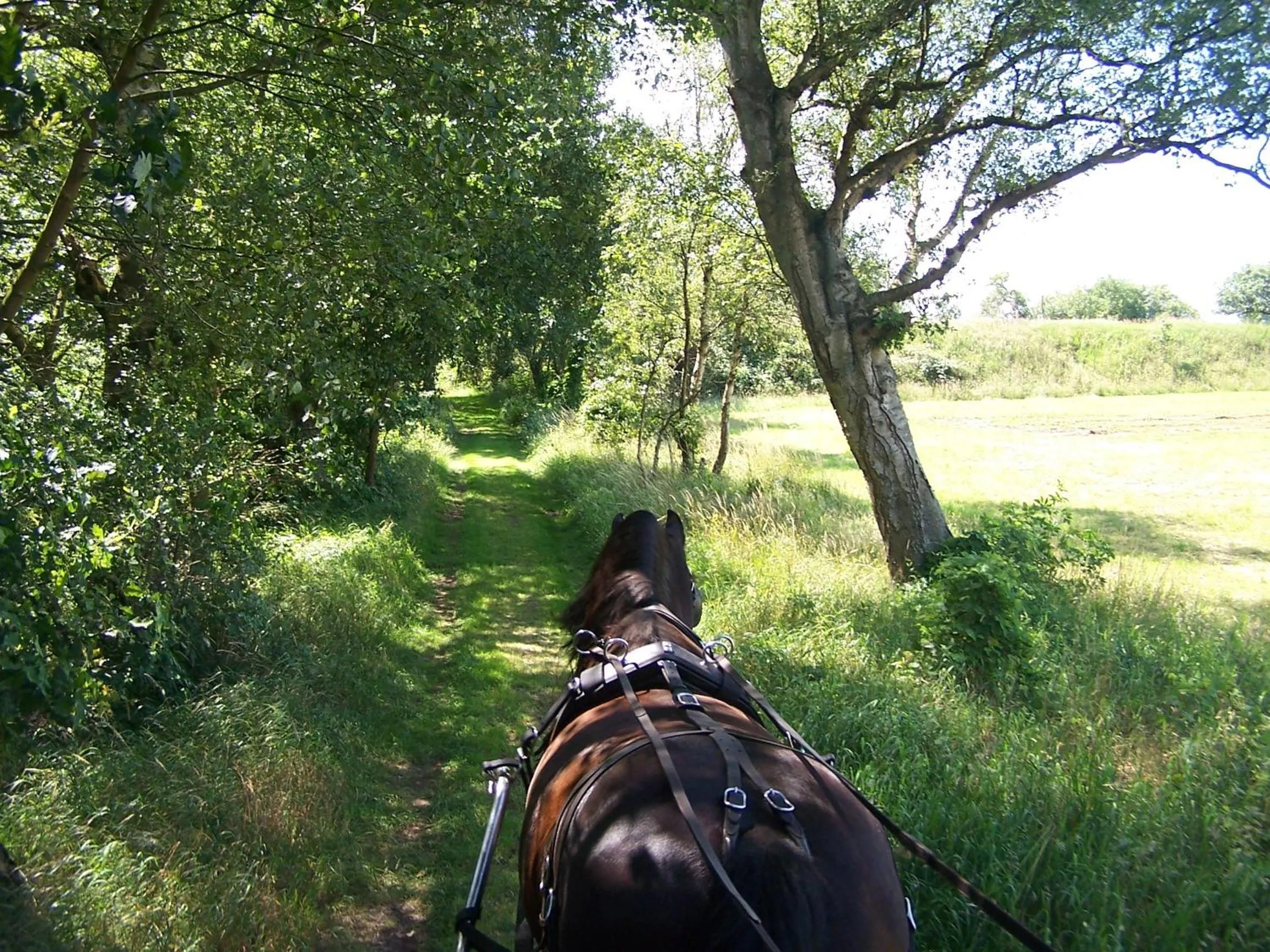 Area and facilities in 't Ossenschot