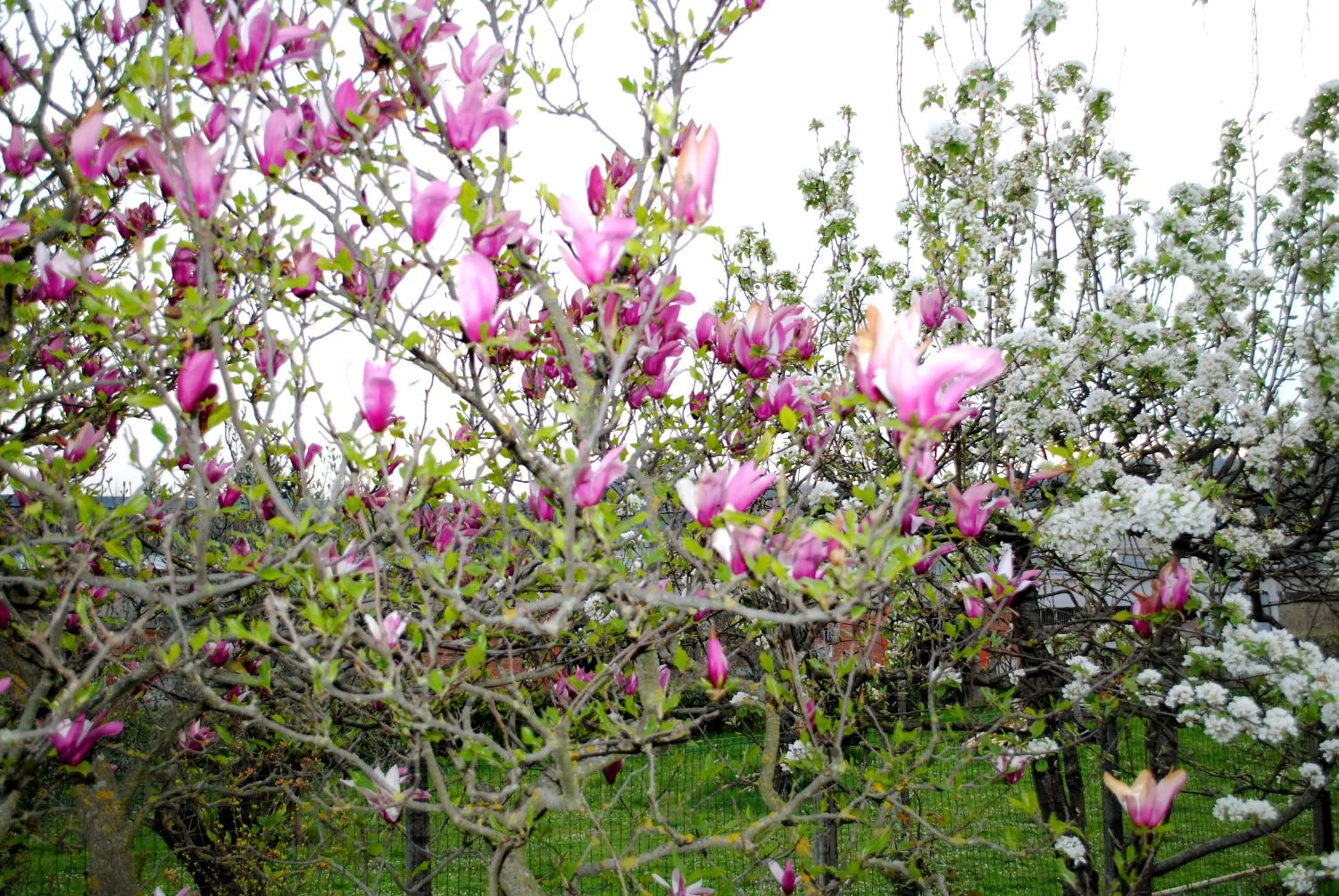 Spring in A casa di Gianna B&B