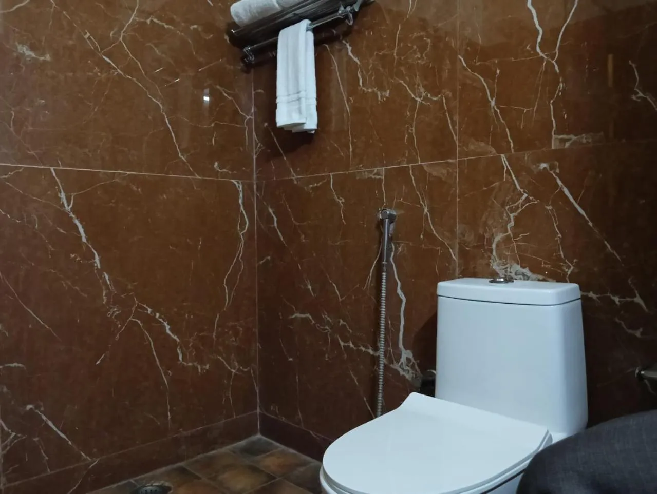 Toilet in Hotel Zion Inn, Cantonment, Varanasi