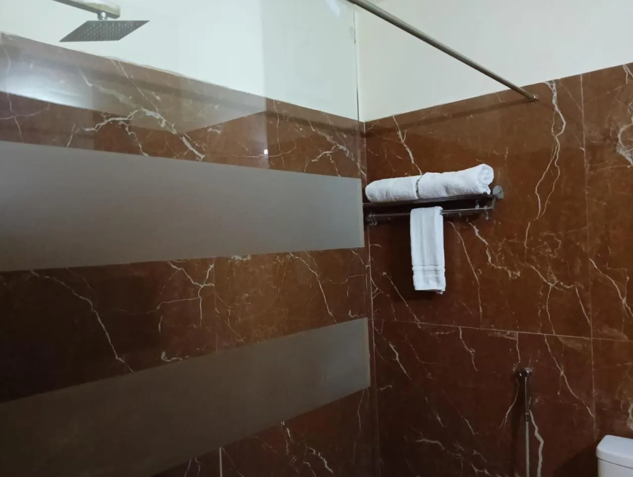 Shower in Hotel Zion Inn, Cantonment, Varanasi