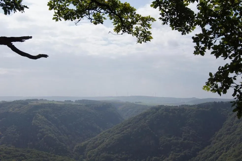 Natural landscape in Hotel-Restaurant Laux