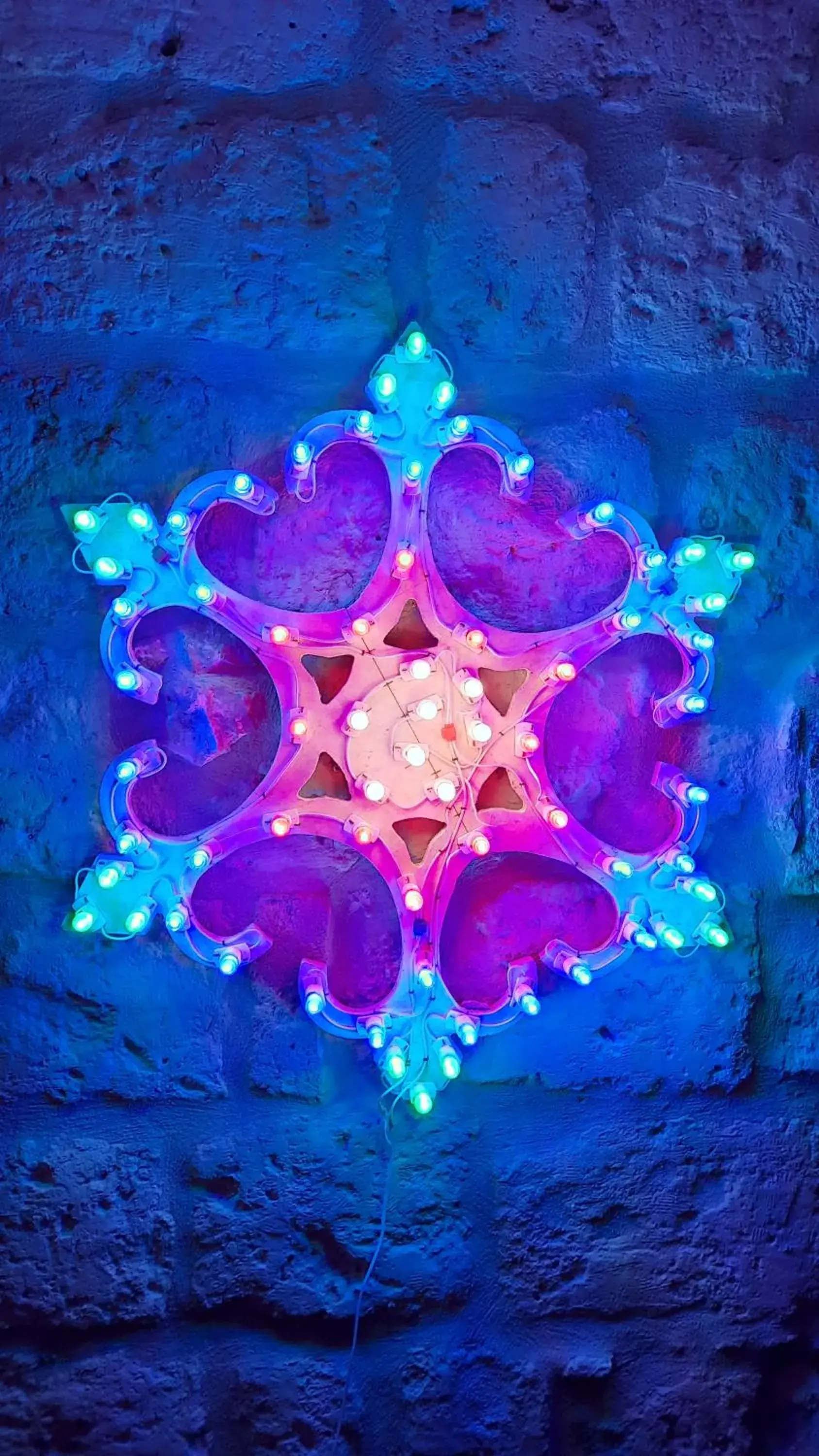 Loft Albicocca Loft Albicocca