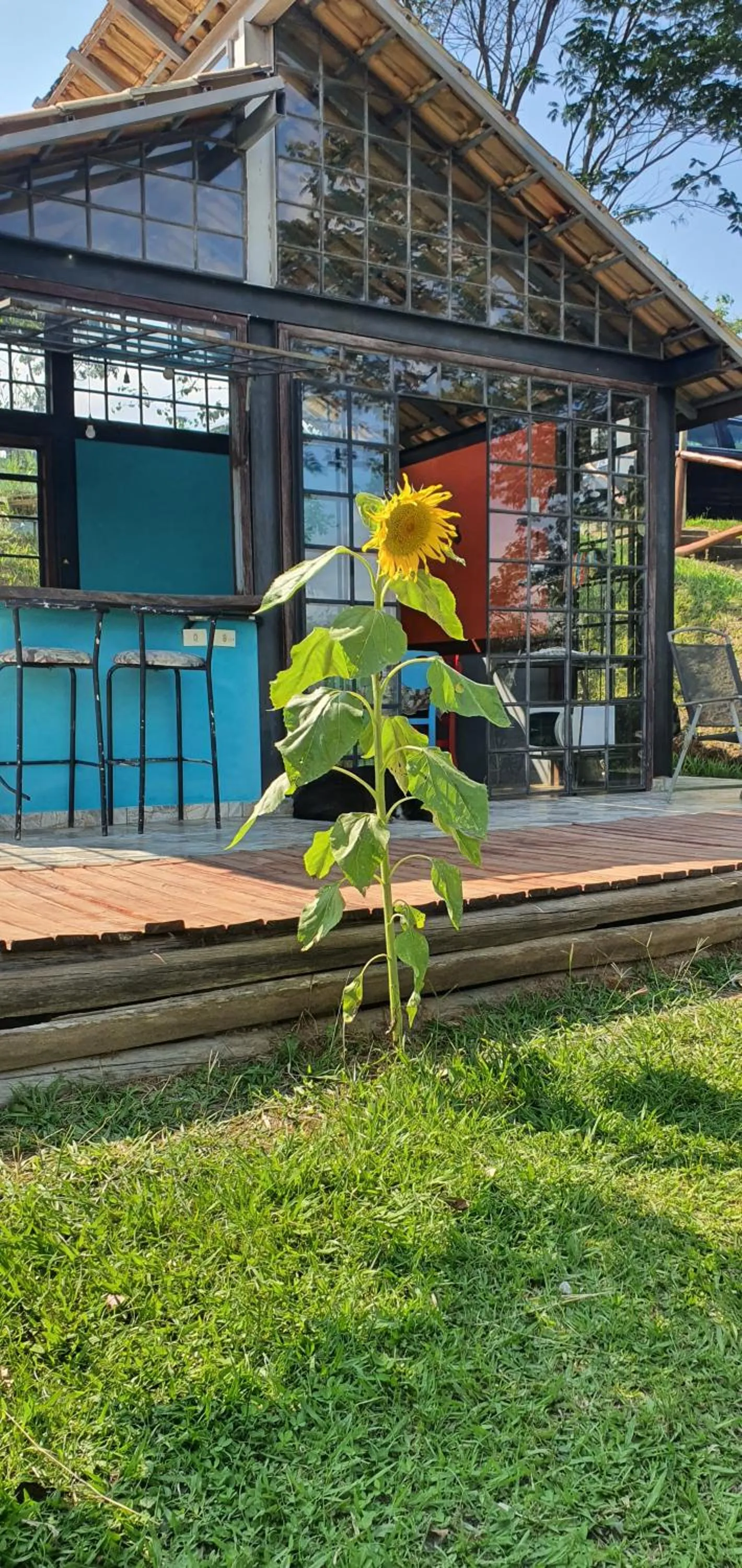 Recanto das Acácias