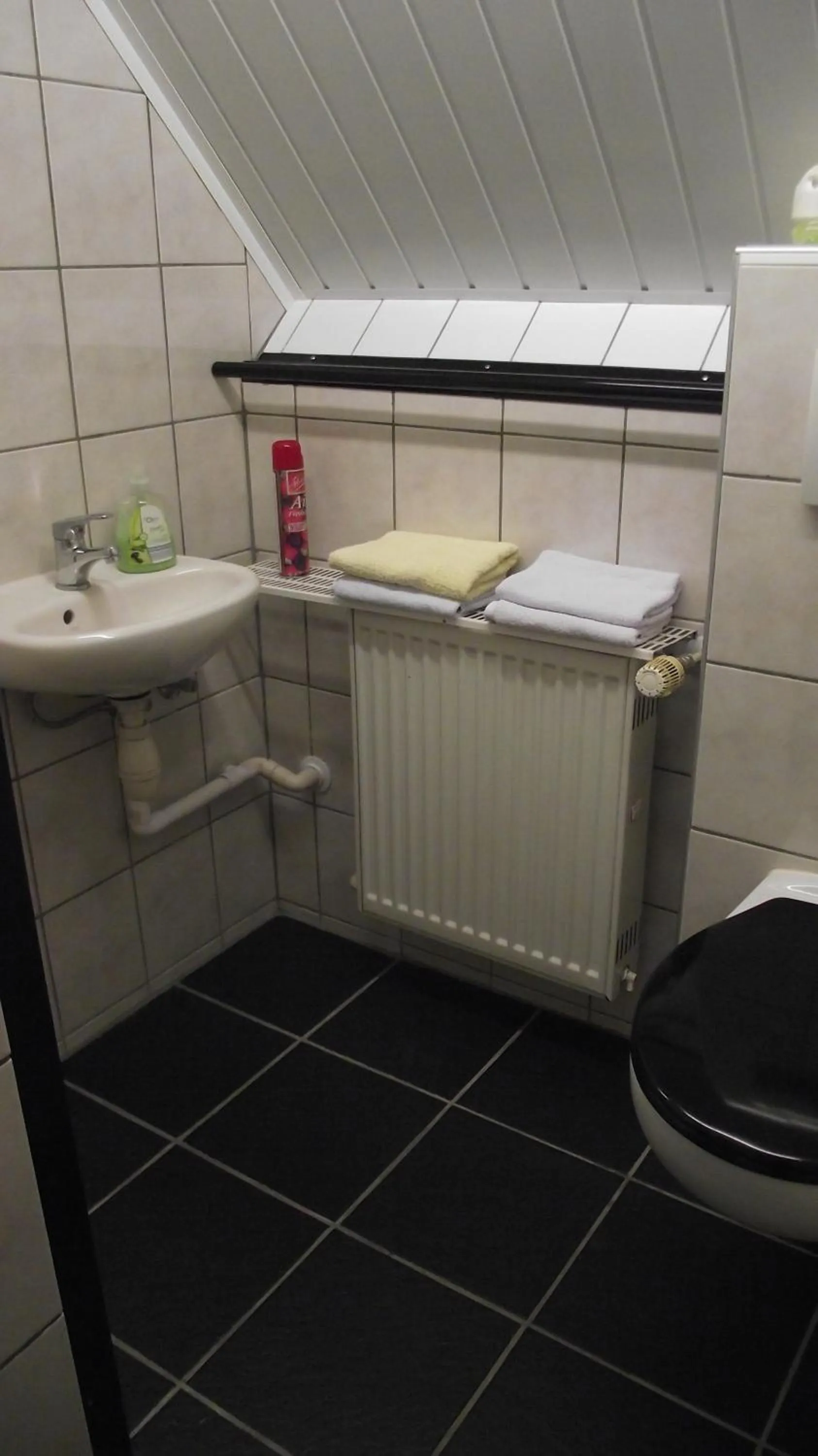 Decorative detail, Bathroom in Pension Neske