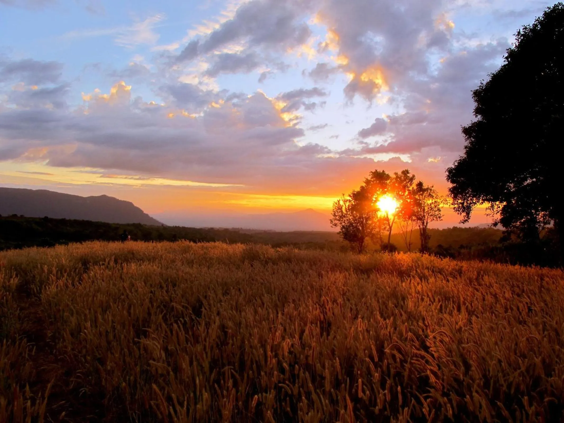 View (from property/room) in Sabaidee Valley