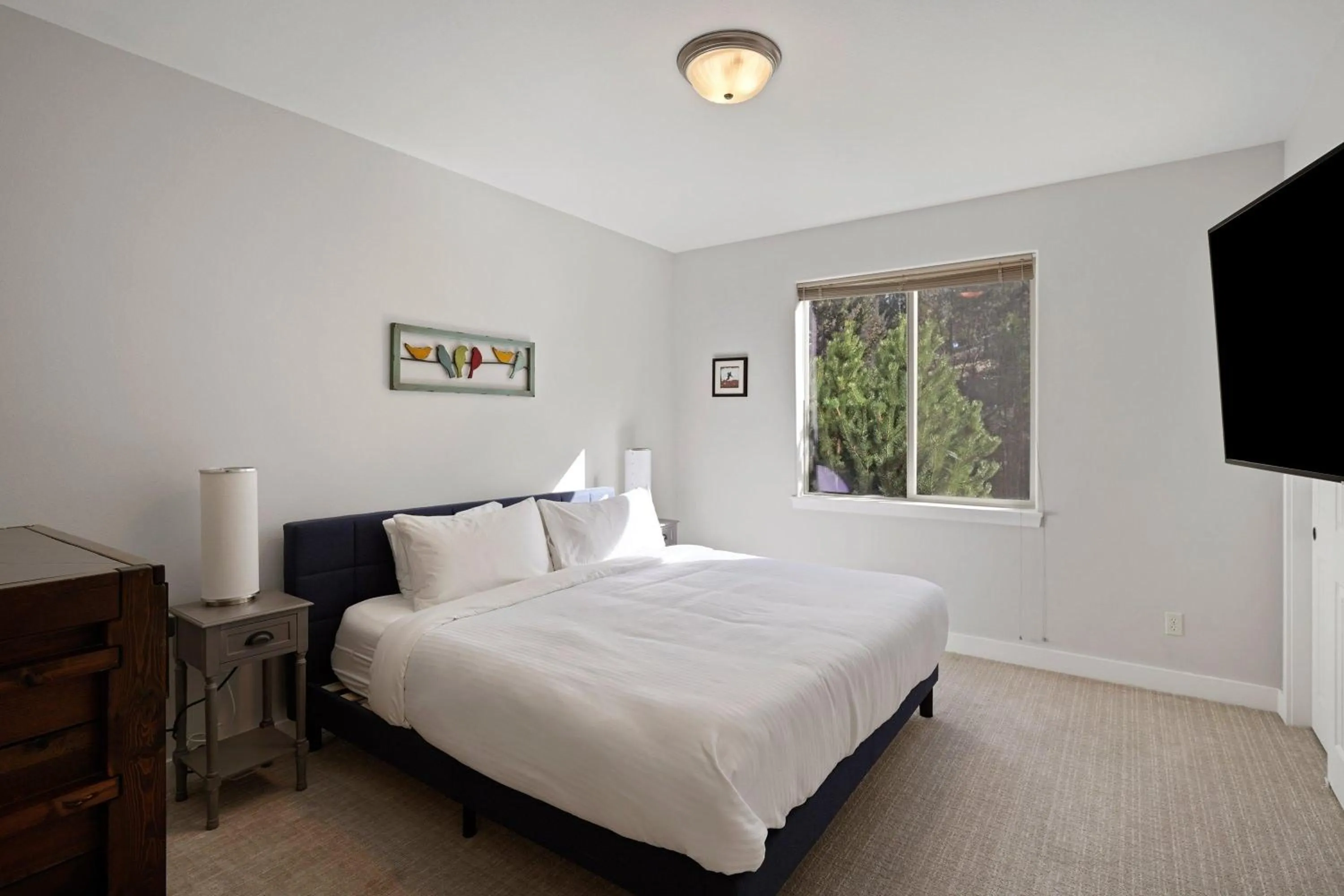 Bed in Flagline Trail