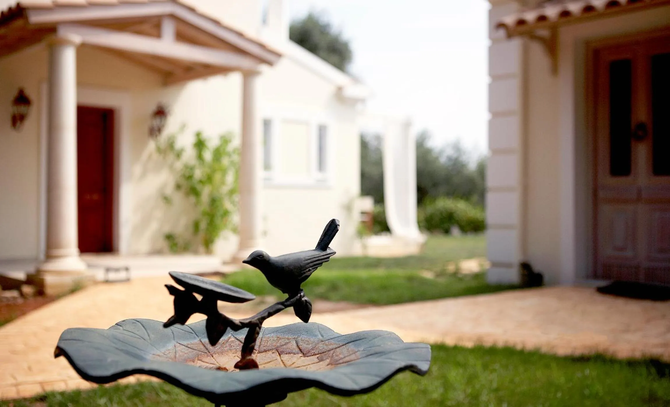 Garden in Castello Di Vista