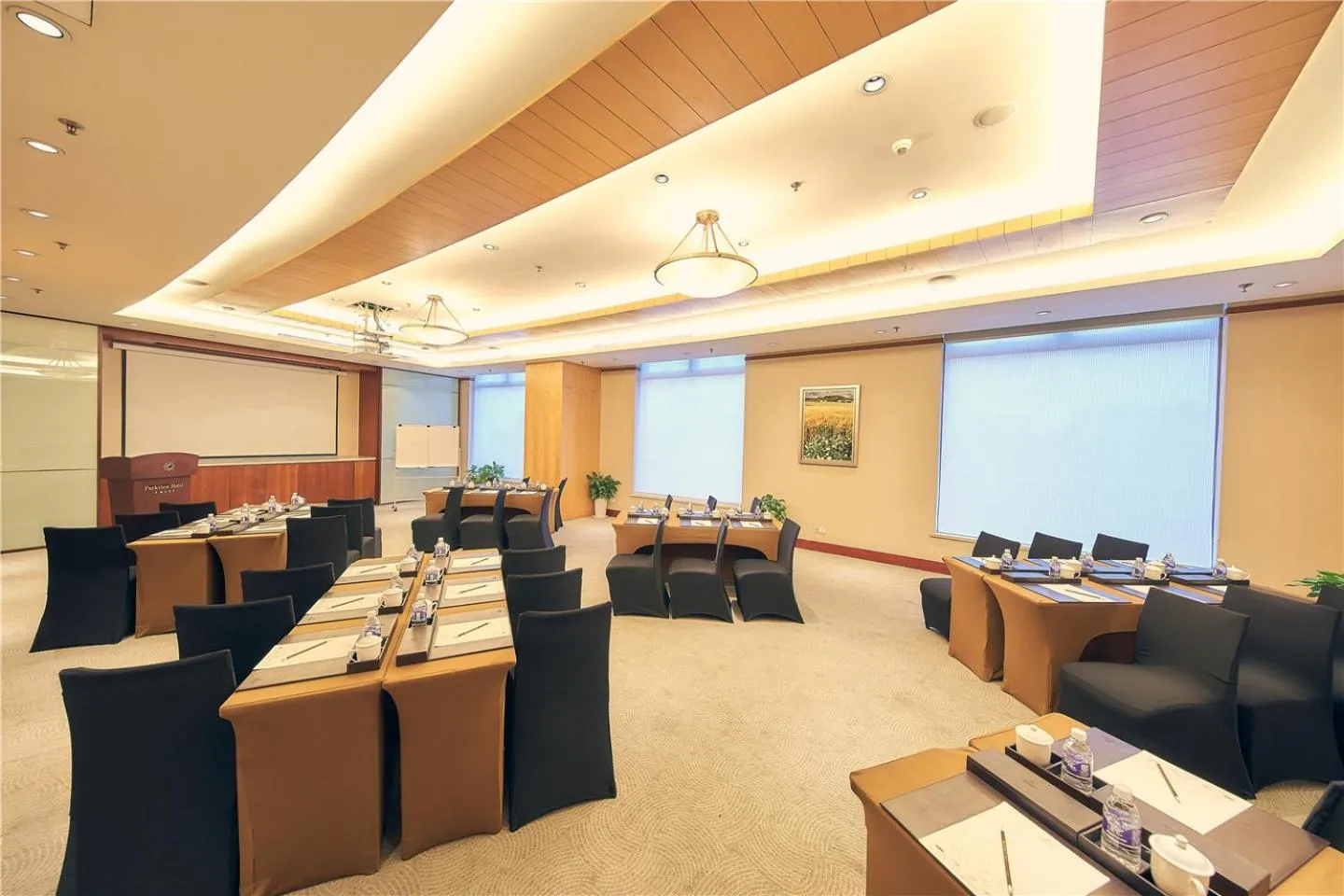 Meeting/conference room in Parkview Hotel