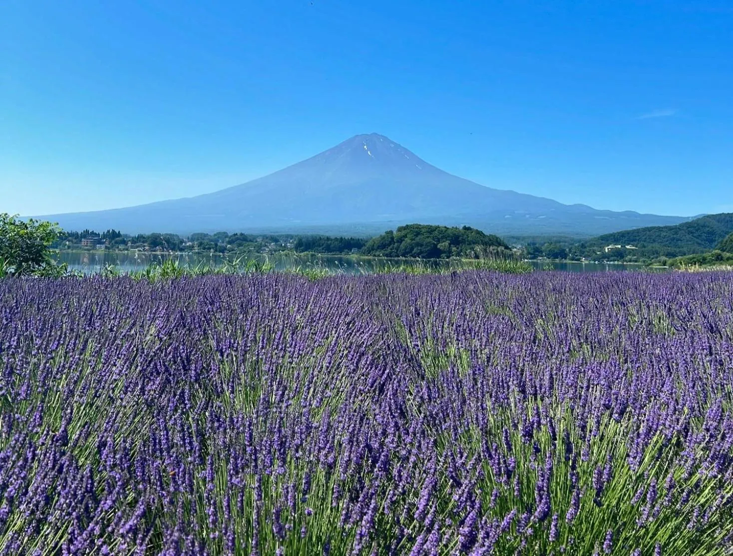 Nearby landmark in Holiday home Furinkazan 風林火山