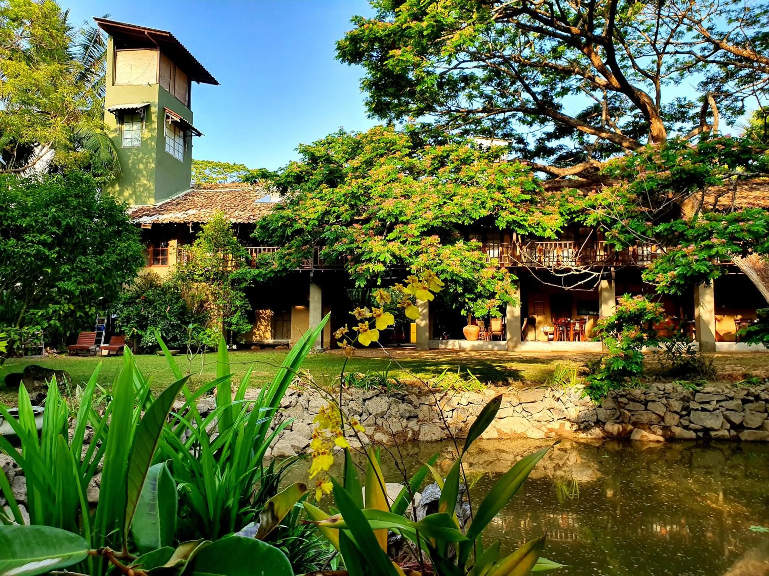 Garden in Dunes Unawatuna Hotel
