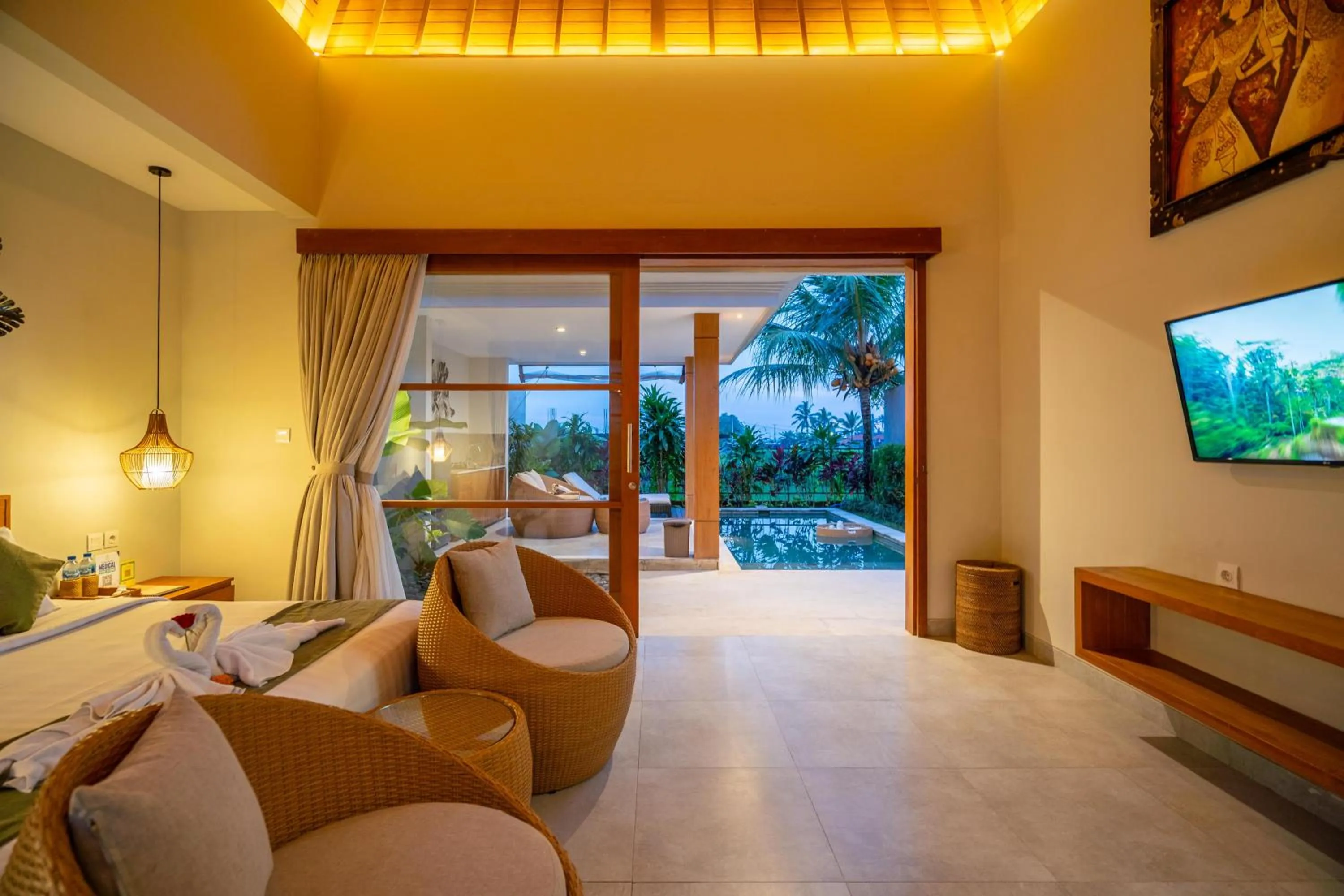 TV and multimedia in Arta Private Villa