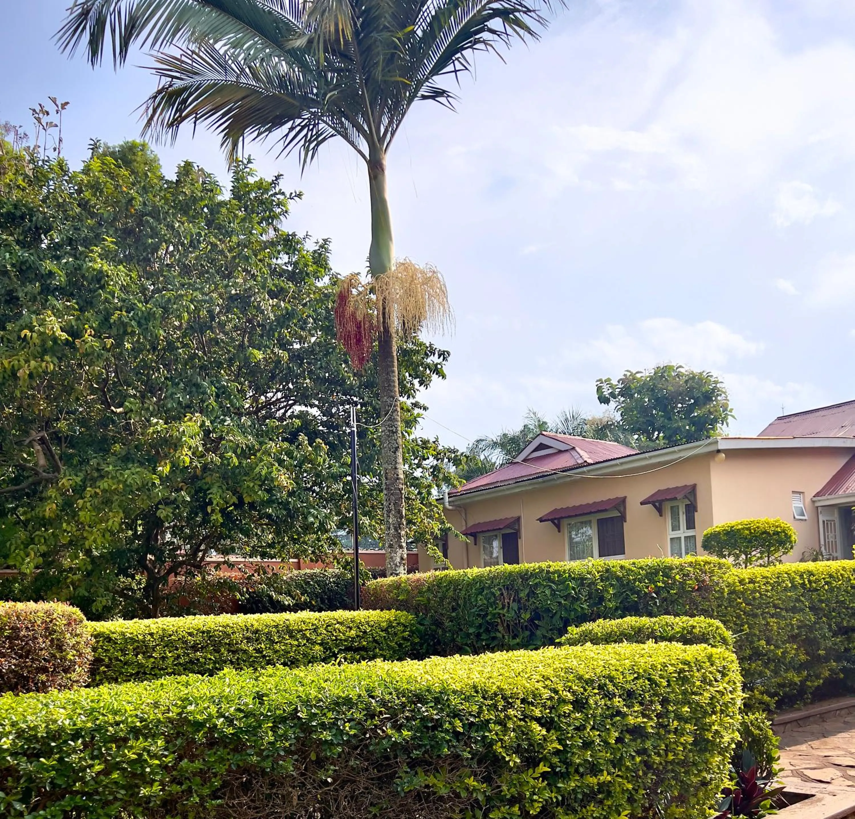 Garden view in Sunset Hotel Entebbe
