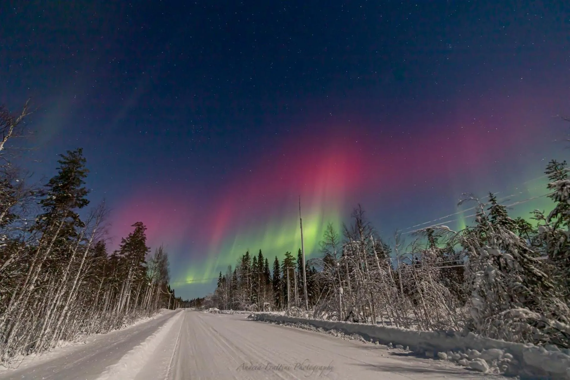 Old Pine Husky Lodge