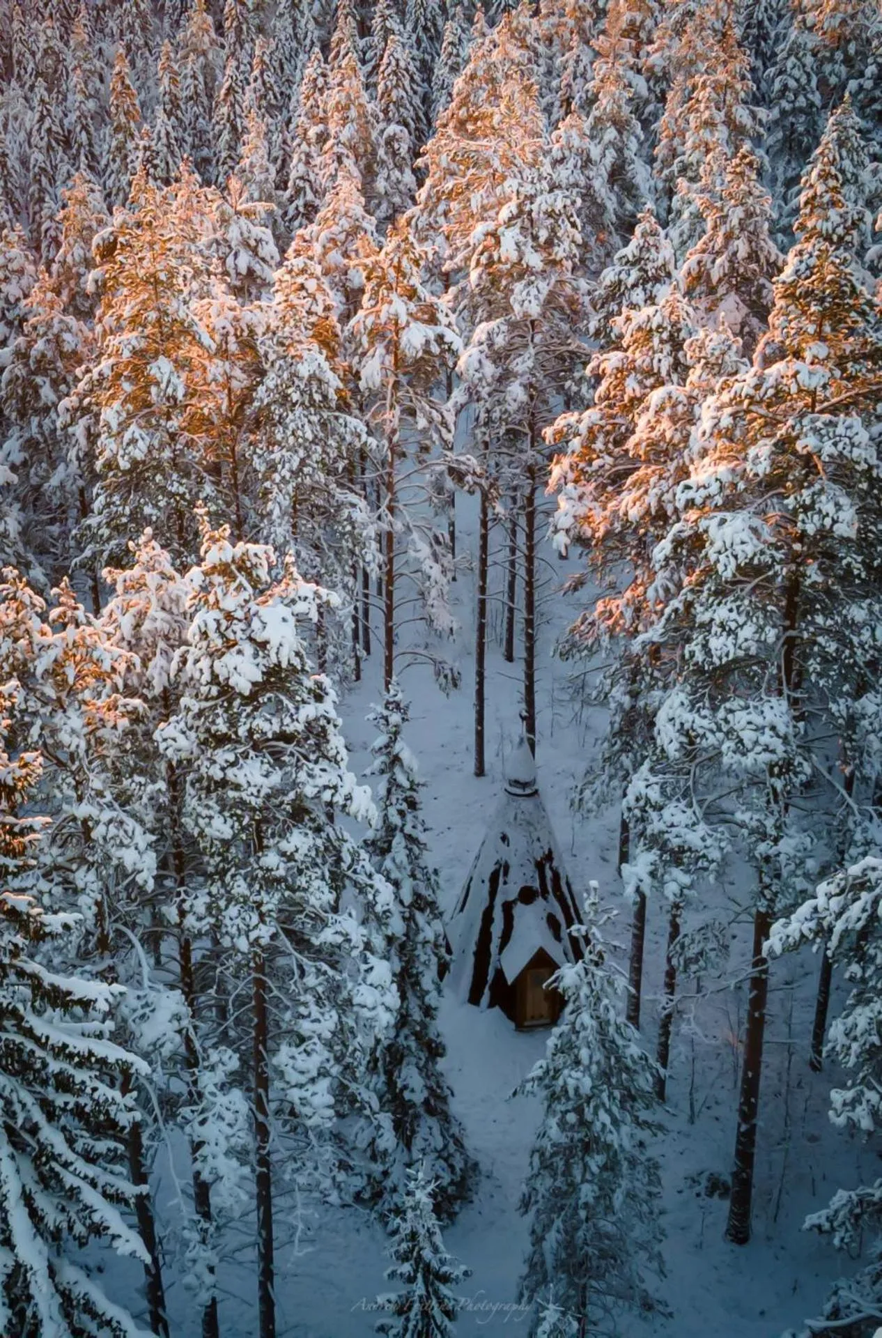 Old Pine Husky Lodge