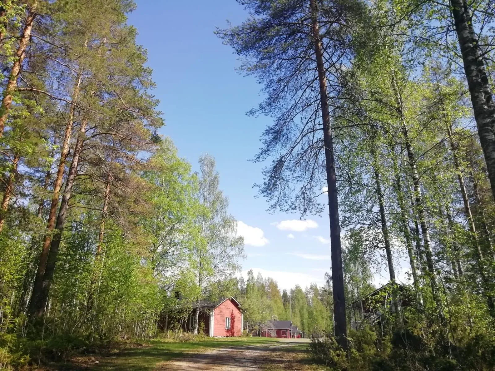 Old Pine Husky Lodge