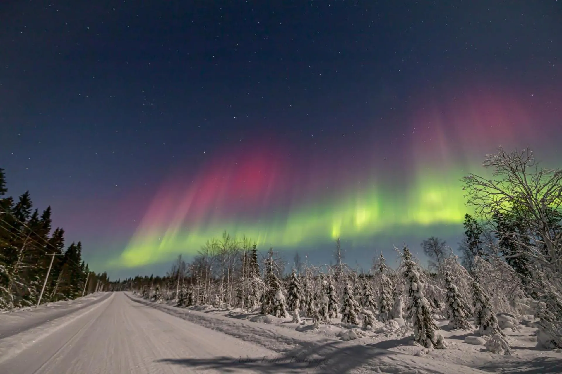 Old Pine Husky Lodge