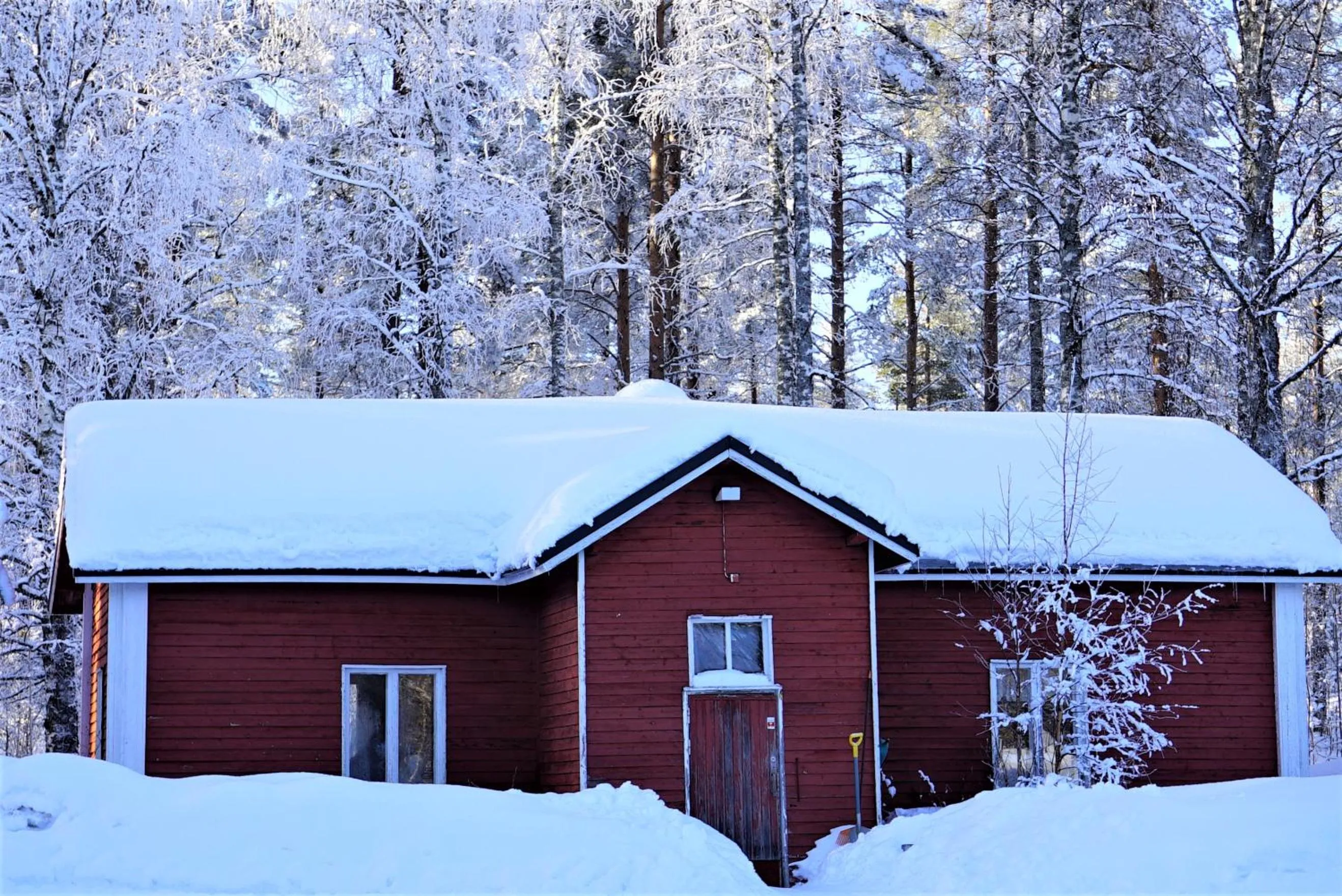 Property building in Old Pine Husky Lodge