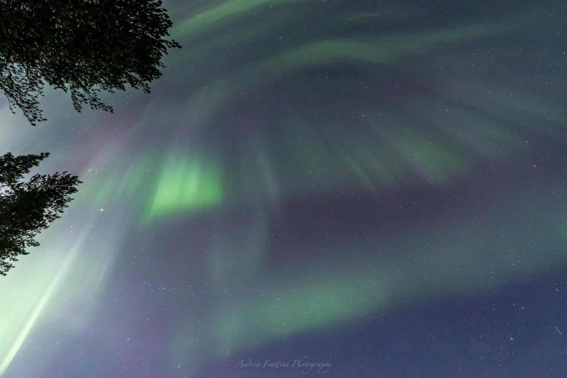 Old Pine Husky Lodge