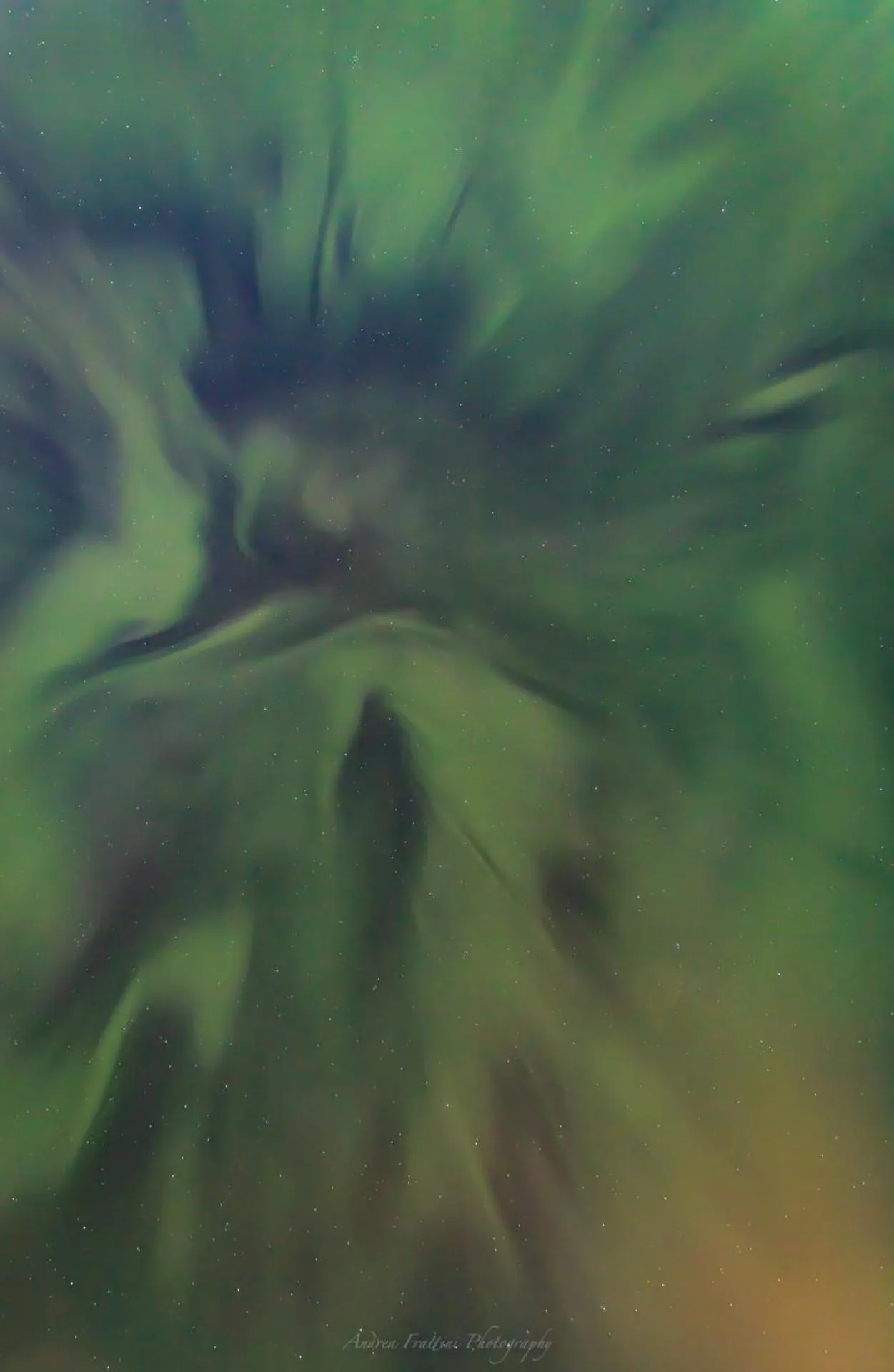 Old Pine Husky Lodge