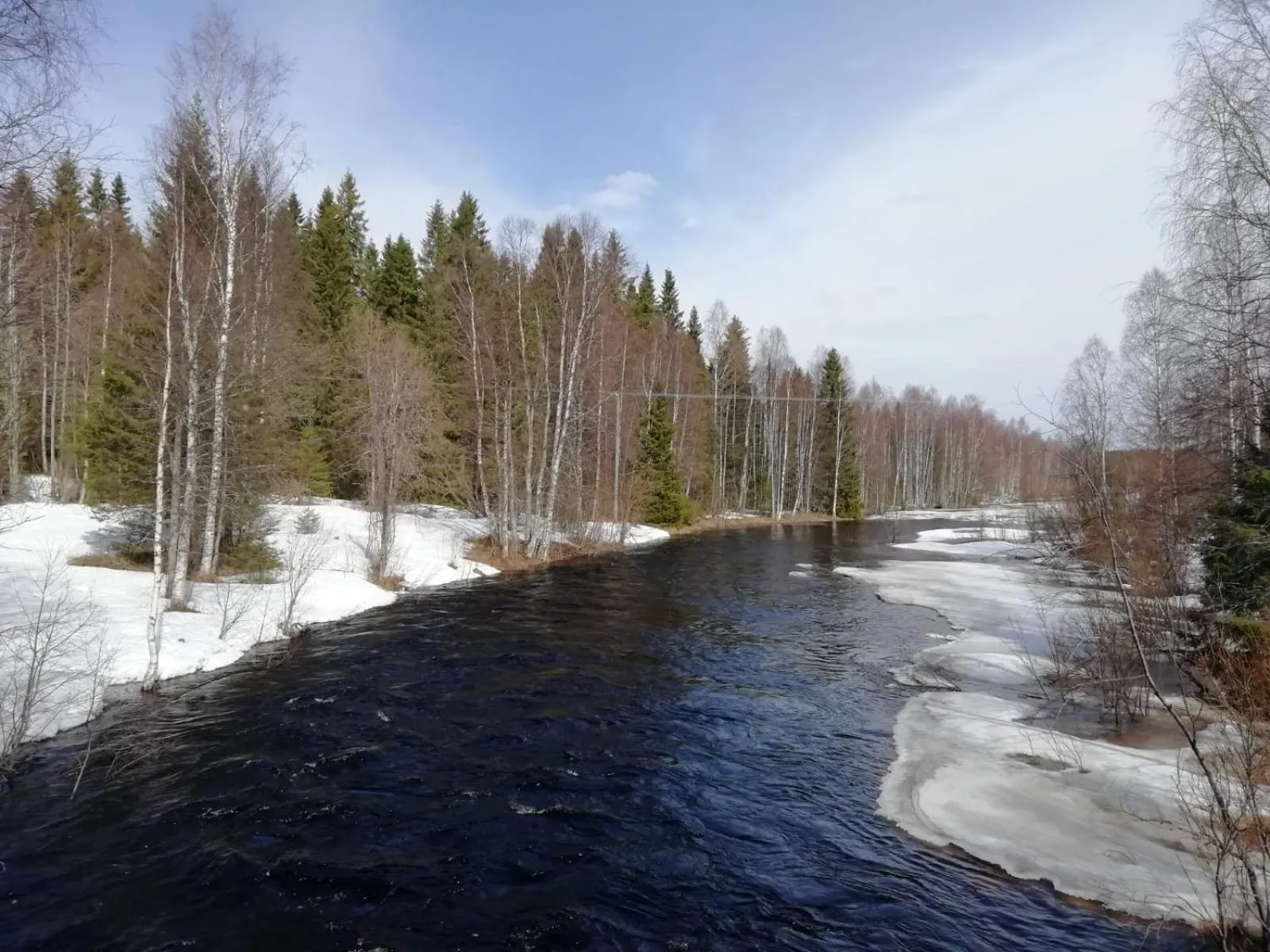 Old Pine Husky Lodge