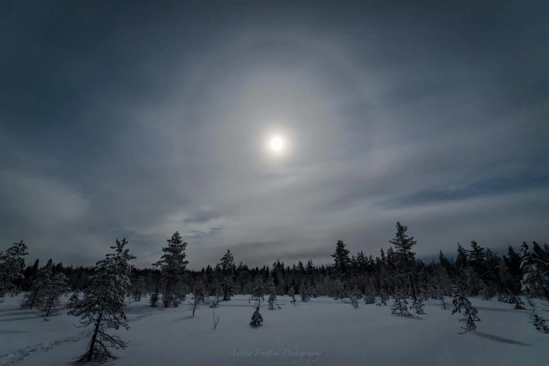 Old Pine Husky Lodge