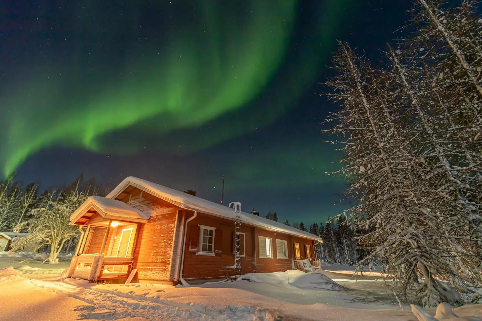 Old Pine Husky Lodge