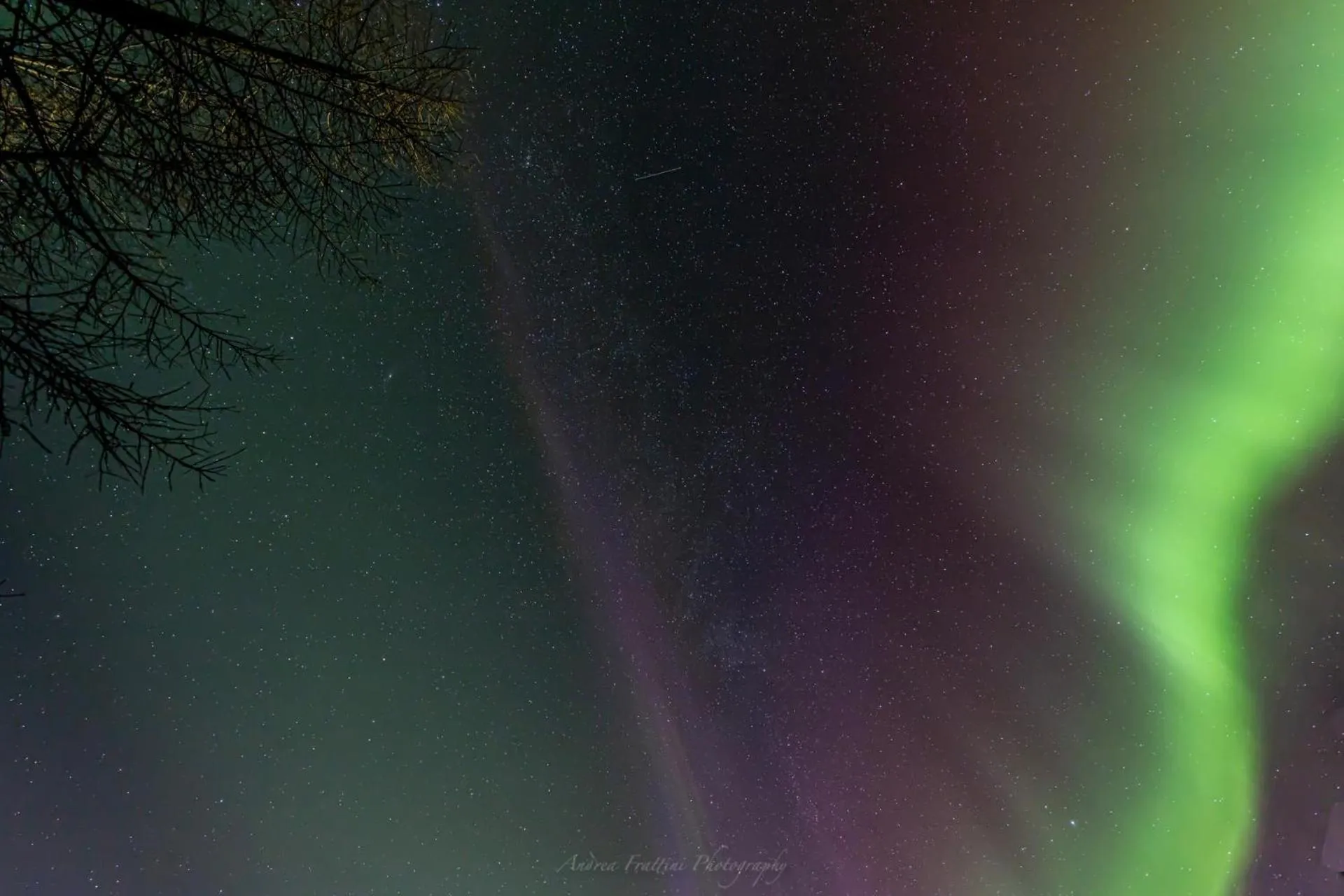 Old Pine Husky Lodge