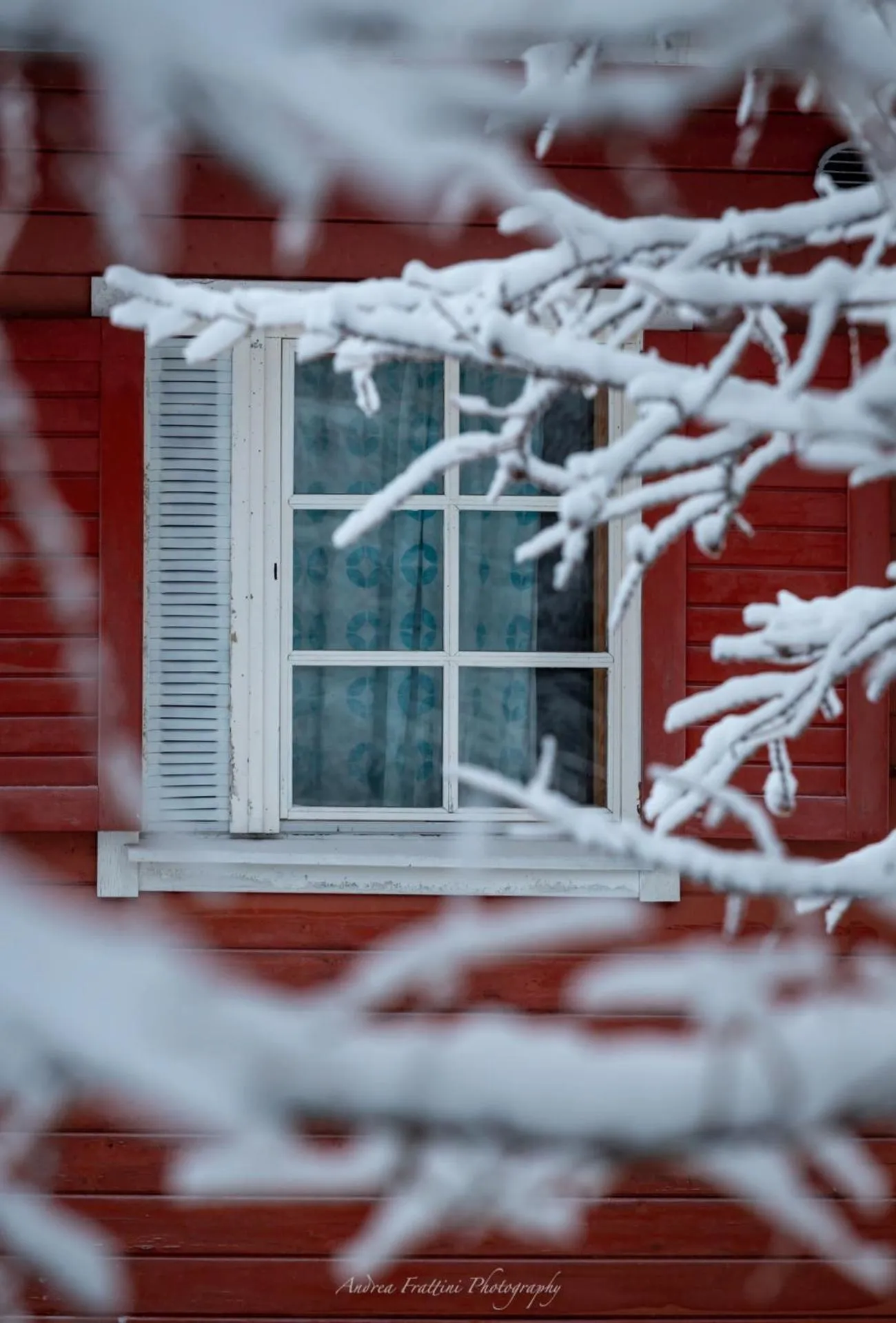 Old Pine Husky Lodge
