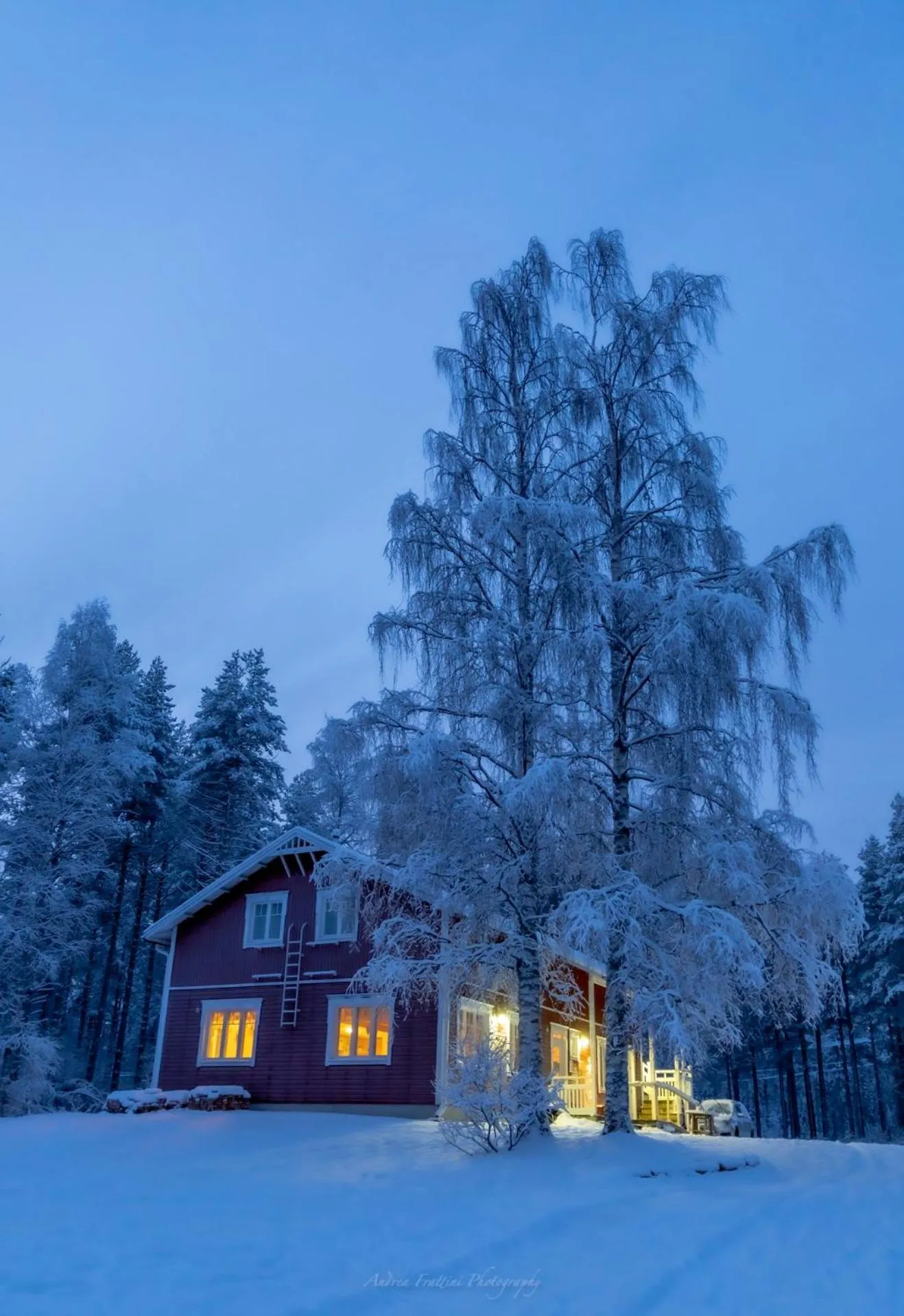 Old Pine Husky Lodge