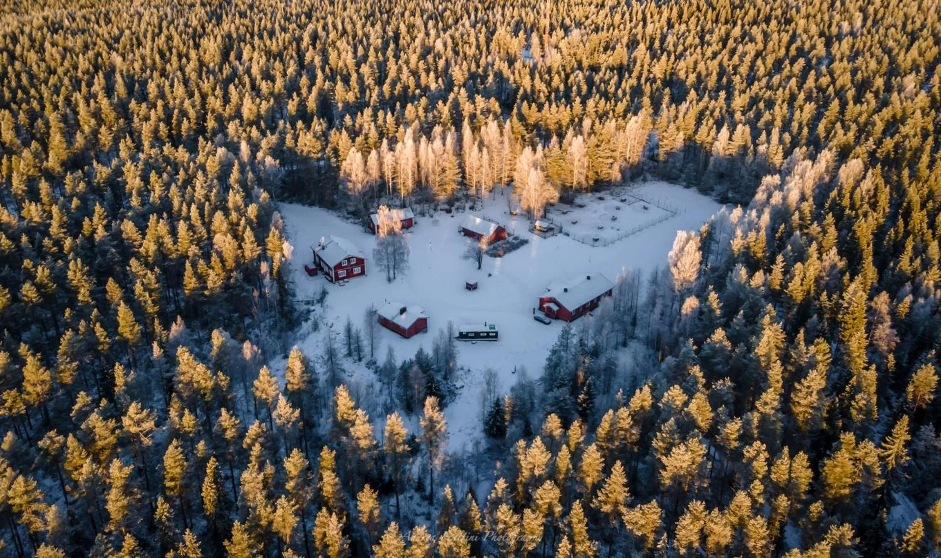 Old Pine Husky Lodge