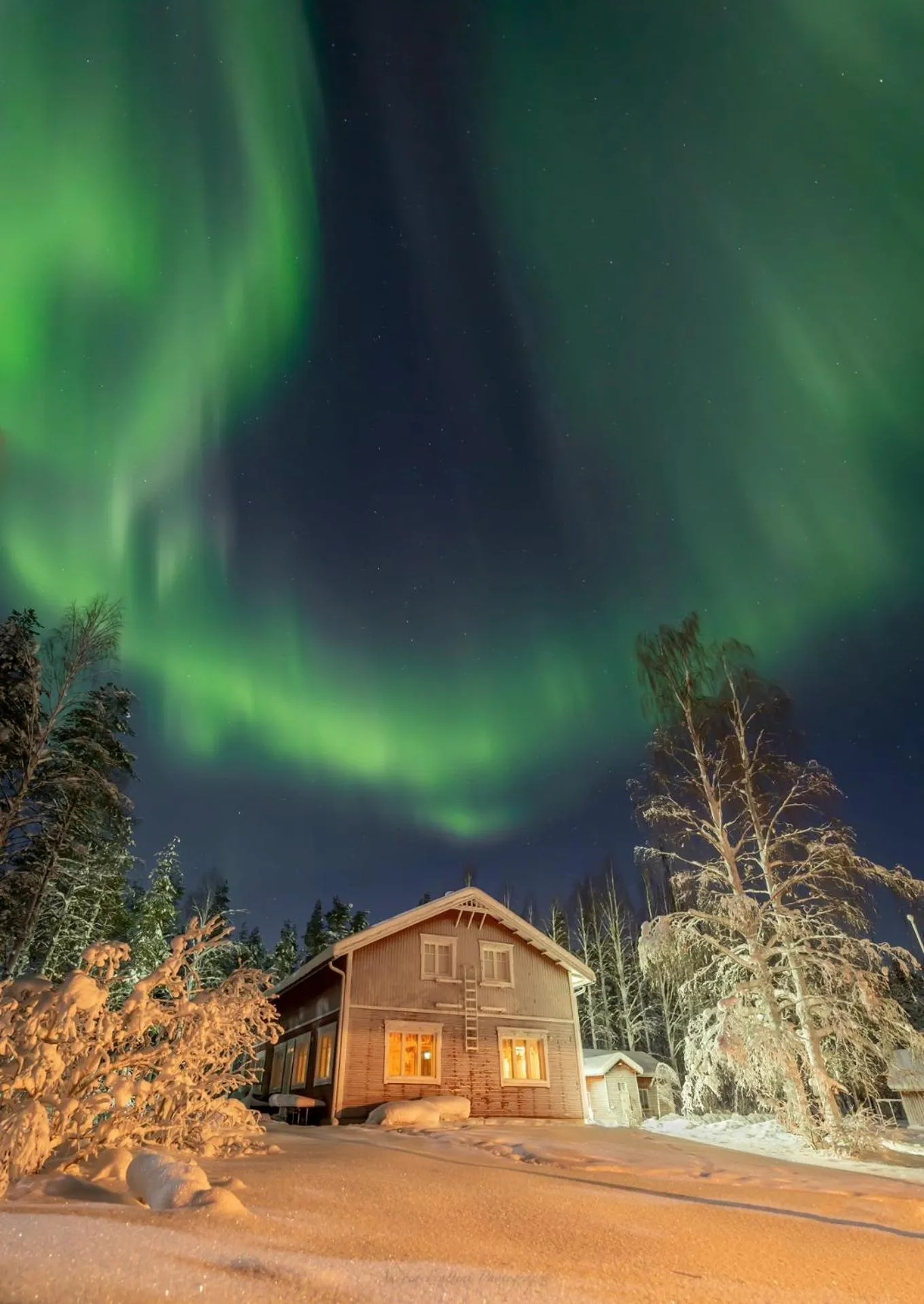 Old Pine Husky Lodge