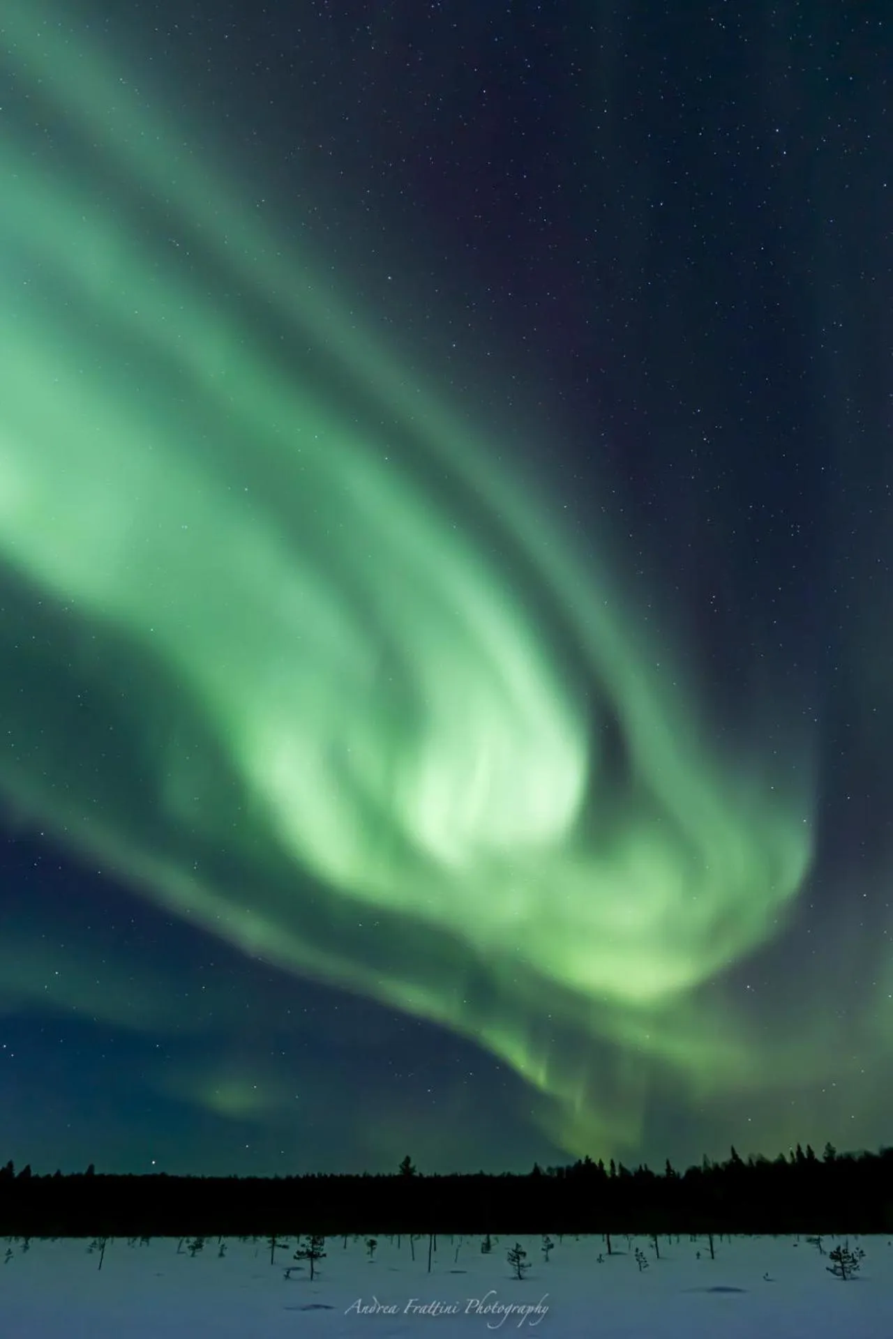 Old Pine Husky Lodge