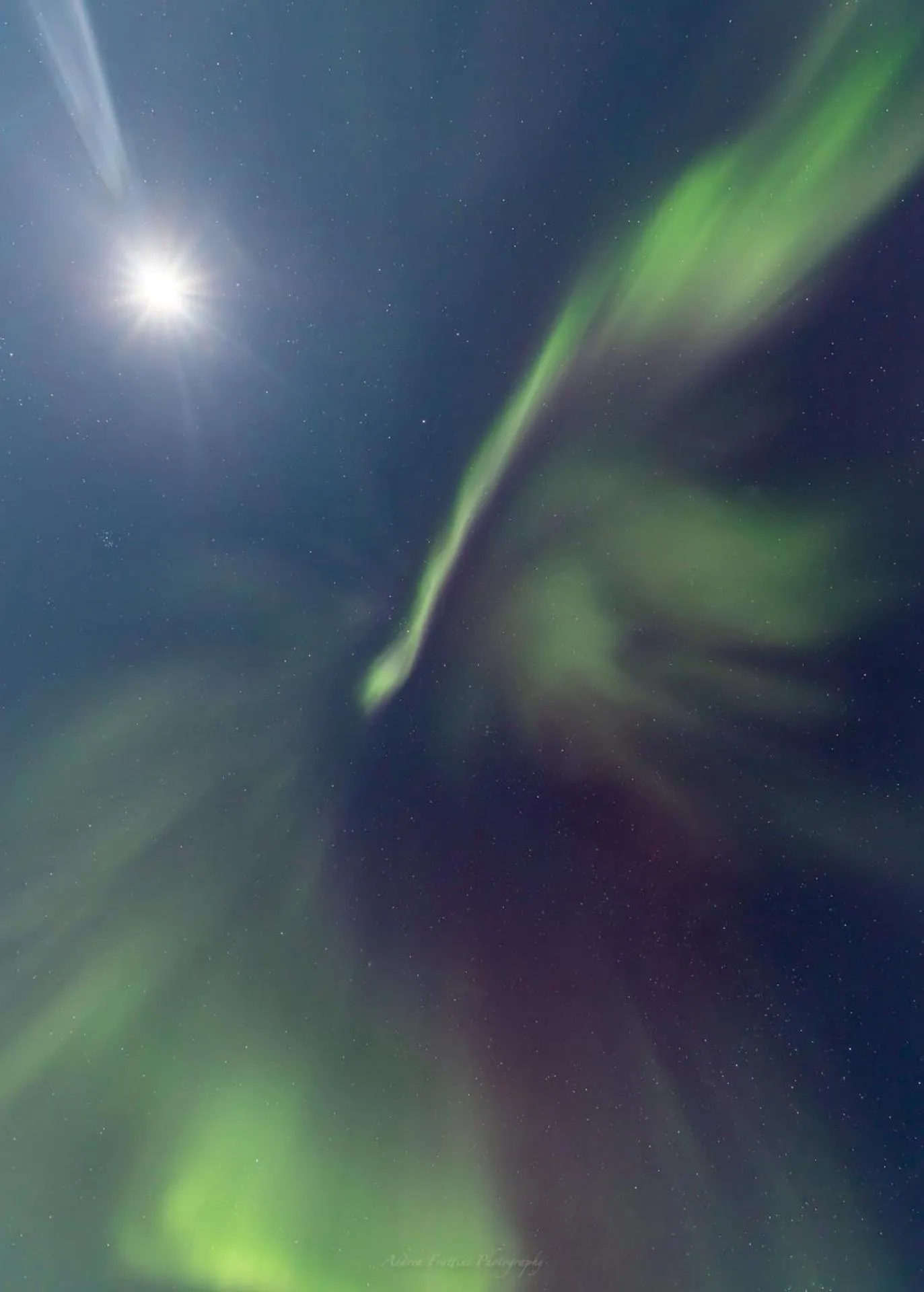 Old Pine Husky Lodge