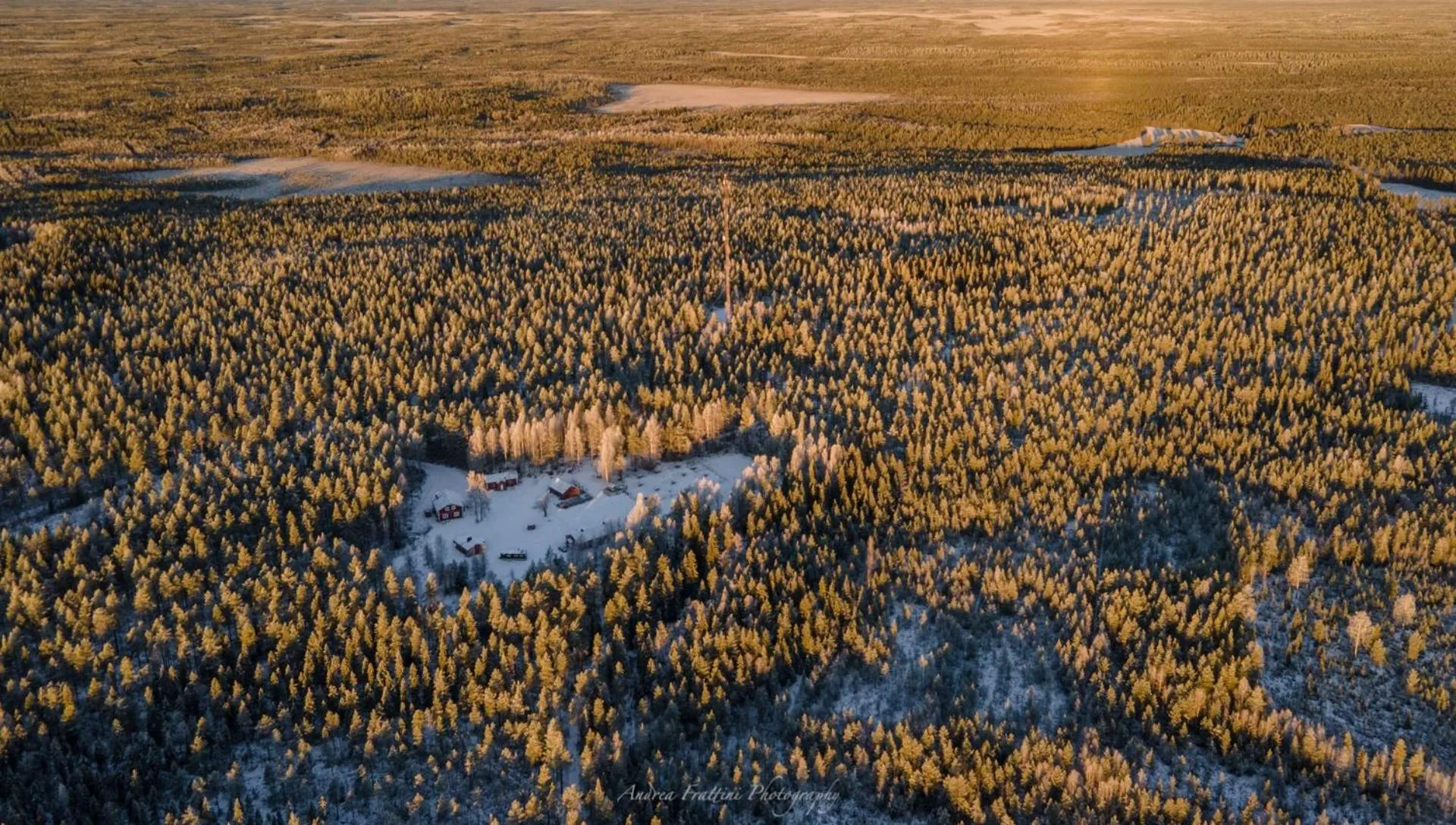 Old Pine Husky Lodge