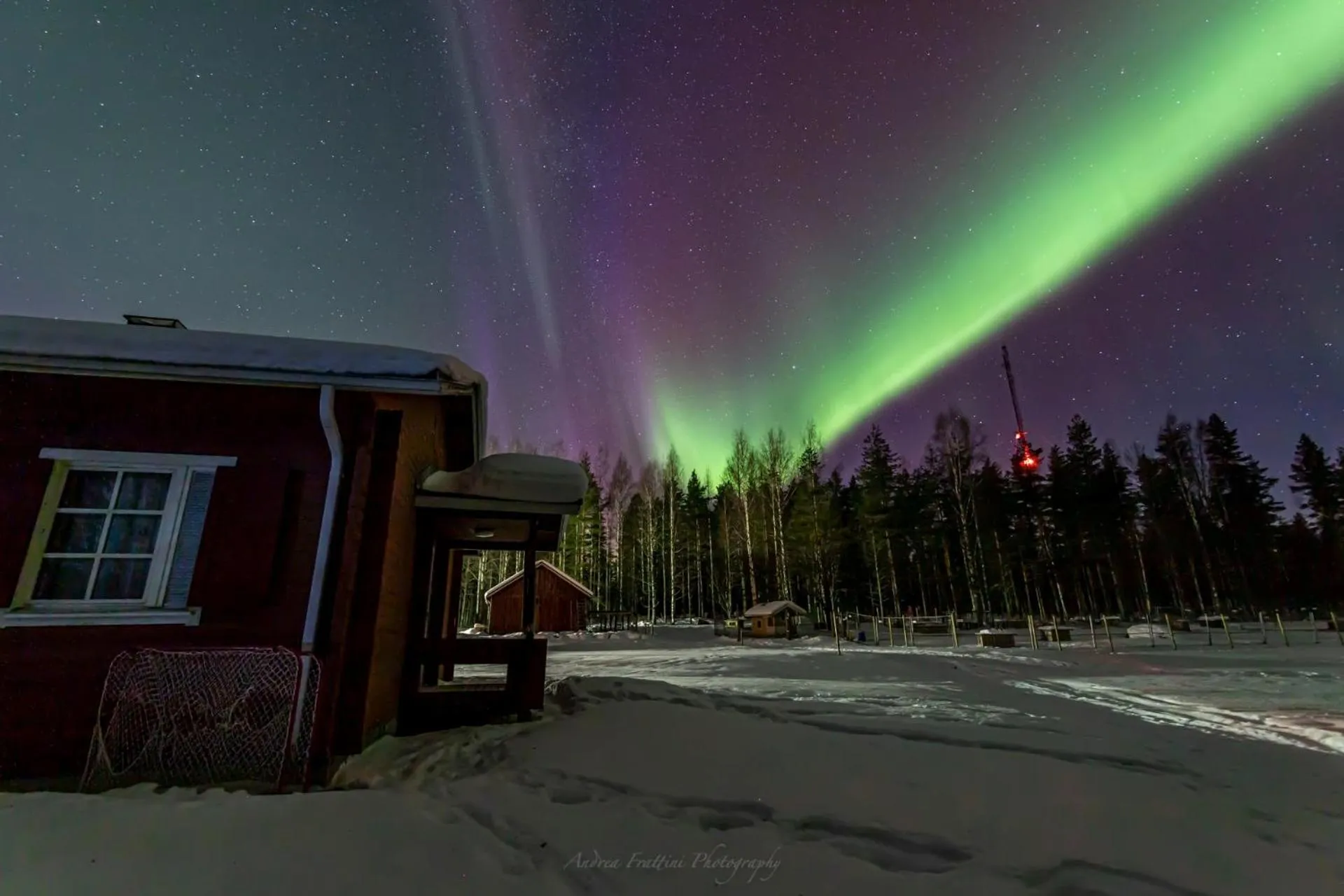 Old Pine Husky Lodge
