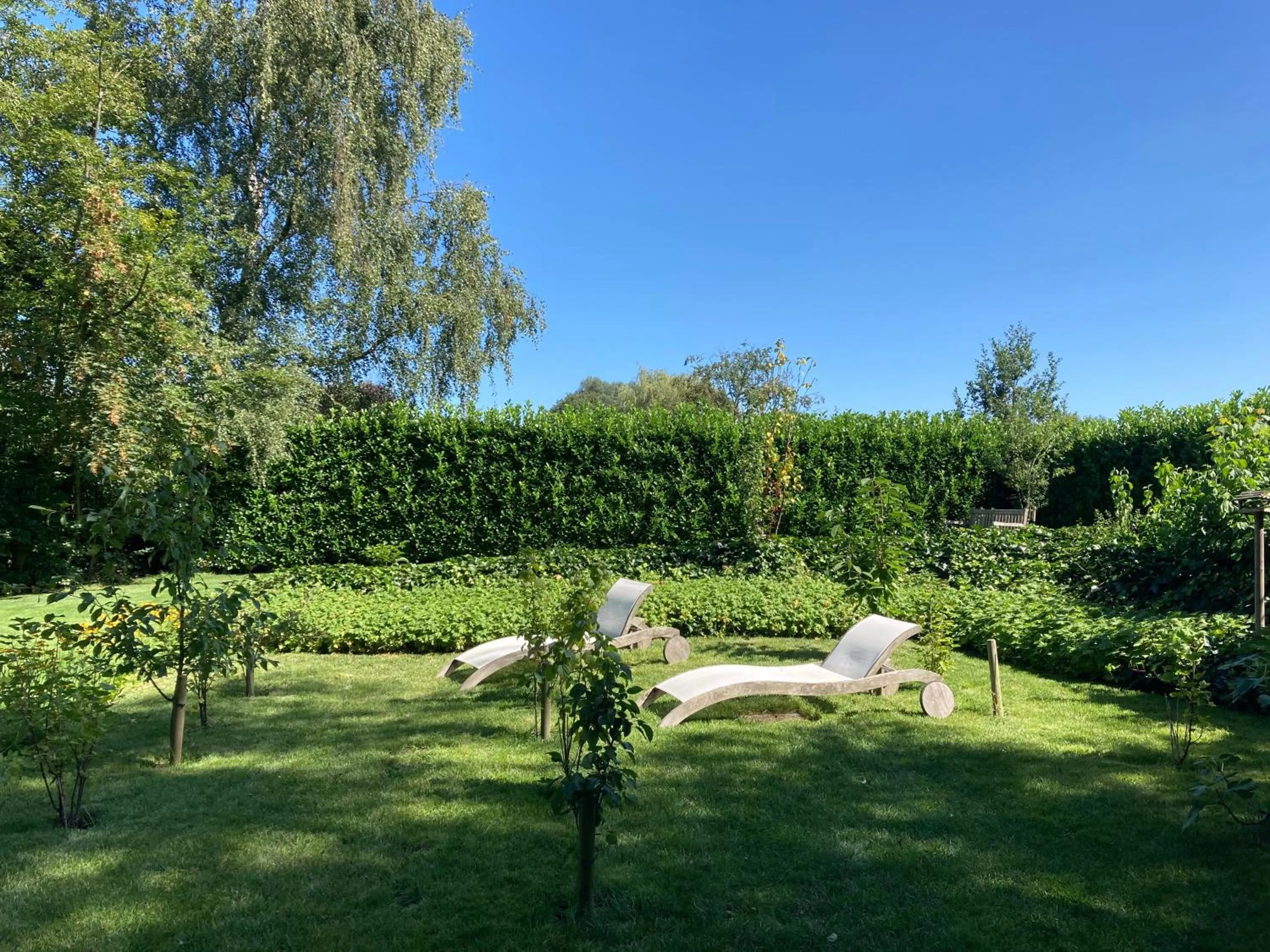 Garden in B&B Hof Ter Koningen