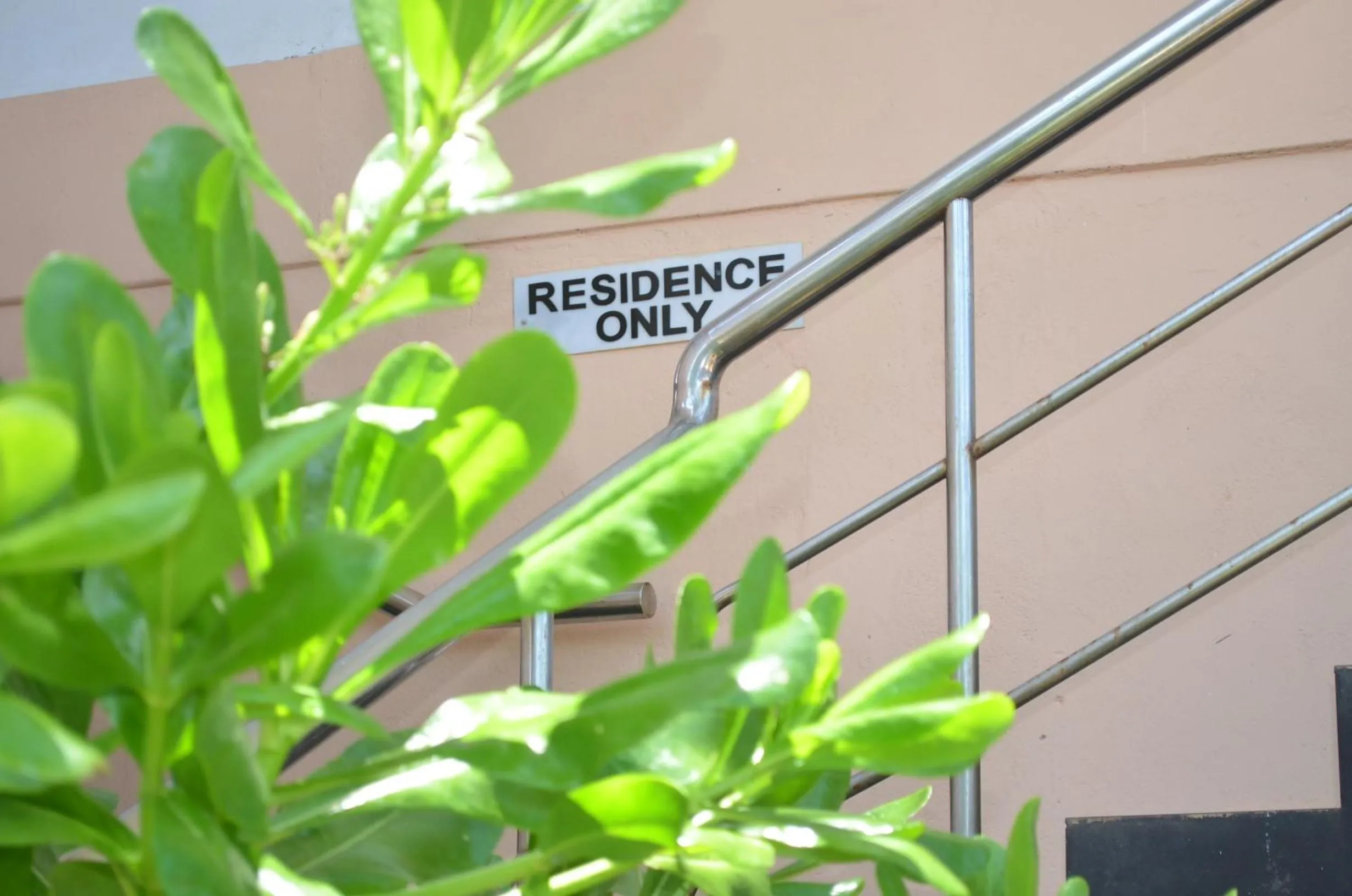 Property building in Hotel Paradiso